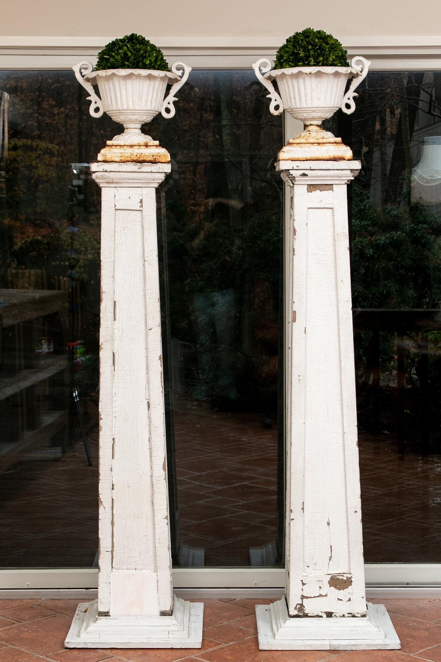 Antique pair of entrance pilasters with urns holding boxwood, carved, square tapering white painted pilasters with recessed panels are mounted on tiered bases. The tops surmounted with white painted iron twin handled urns with scalloped rims.