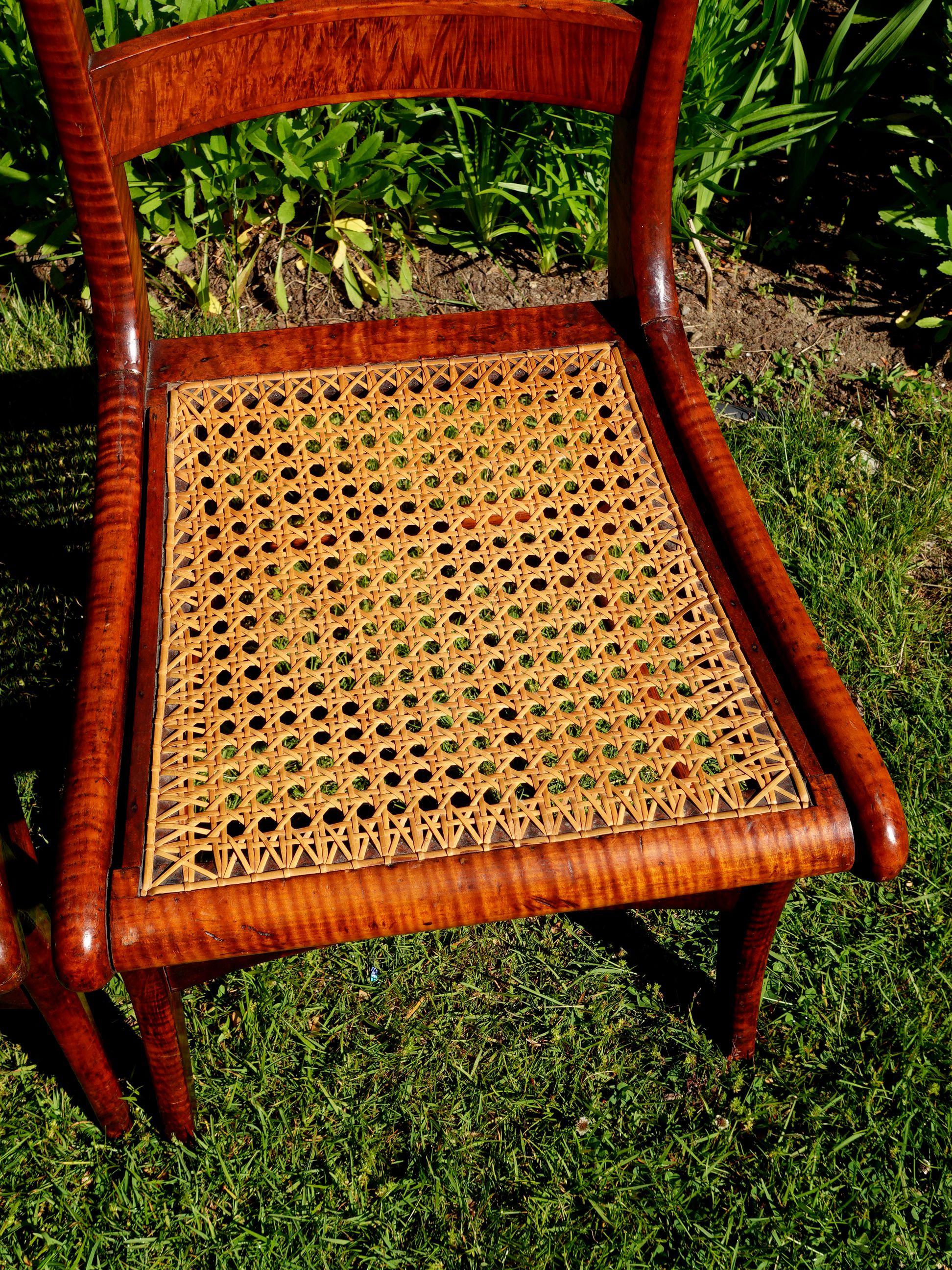 Ancienne paire de chaises de salle à manger fédérales en érable tigré et rotin à œil d'oiseau #2 en vente 2
