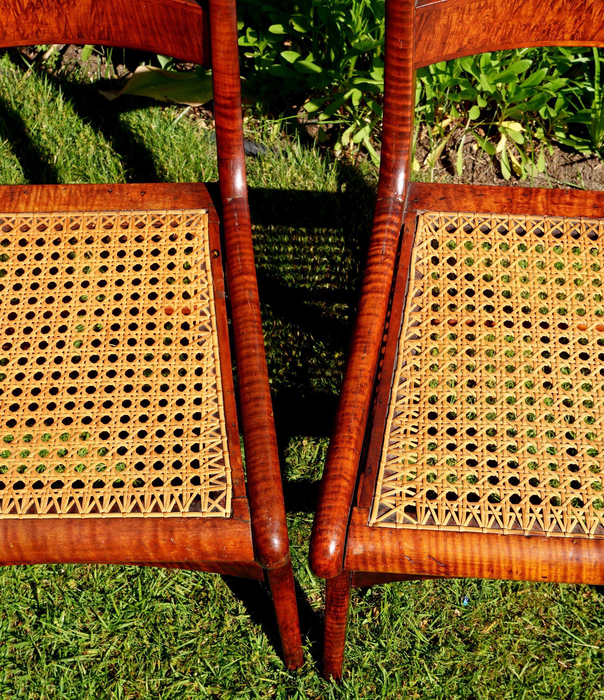 Ancienne paire de chaises de salle à manger fédérales en érable tigré et rotin à œil d'oiseau #2 en vente 3