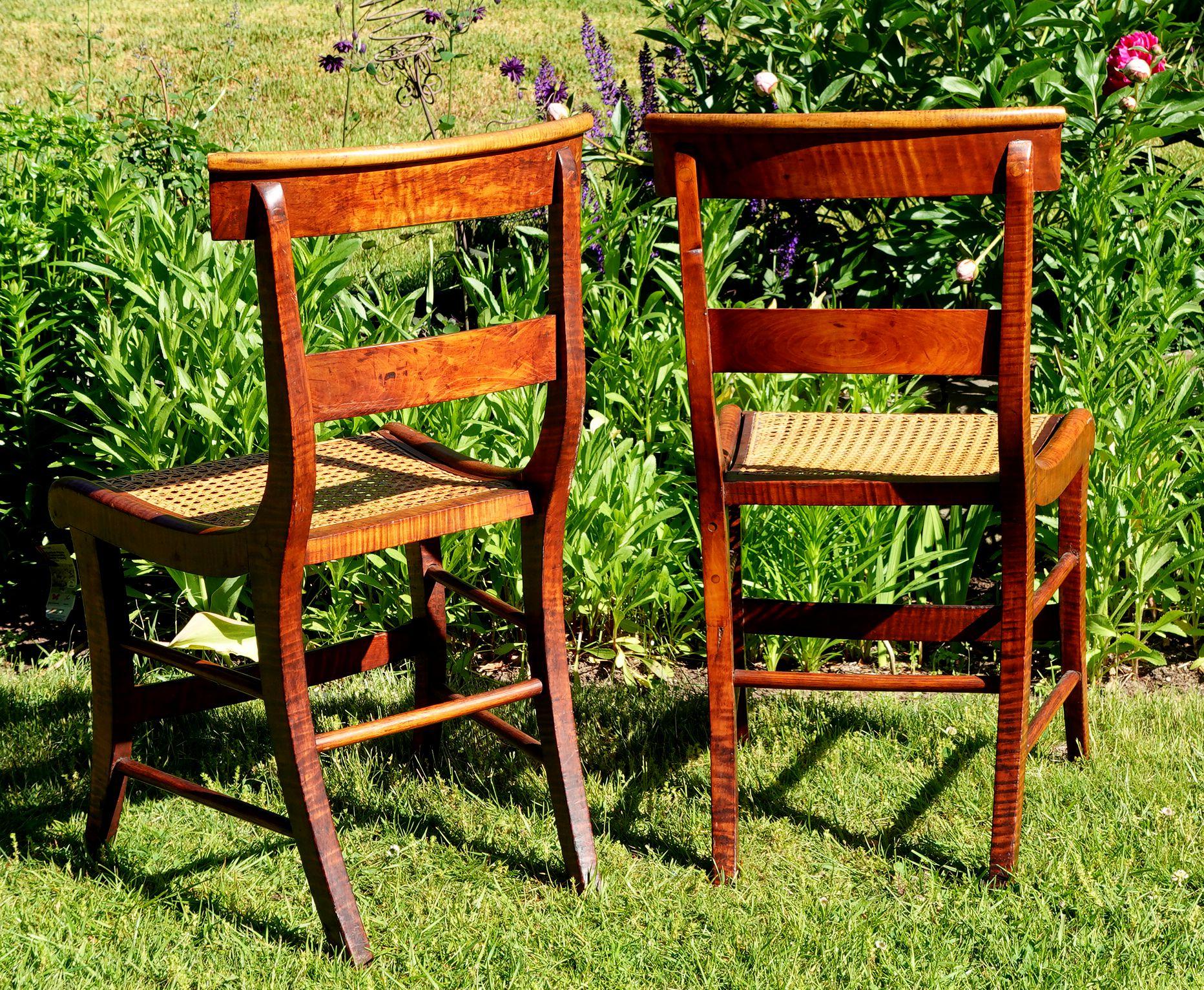 Antique Pair of Federal Tiger Maple & Bird's Eye Cane Seat Dinning Charis #2 For Sale 5