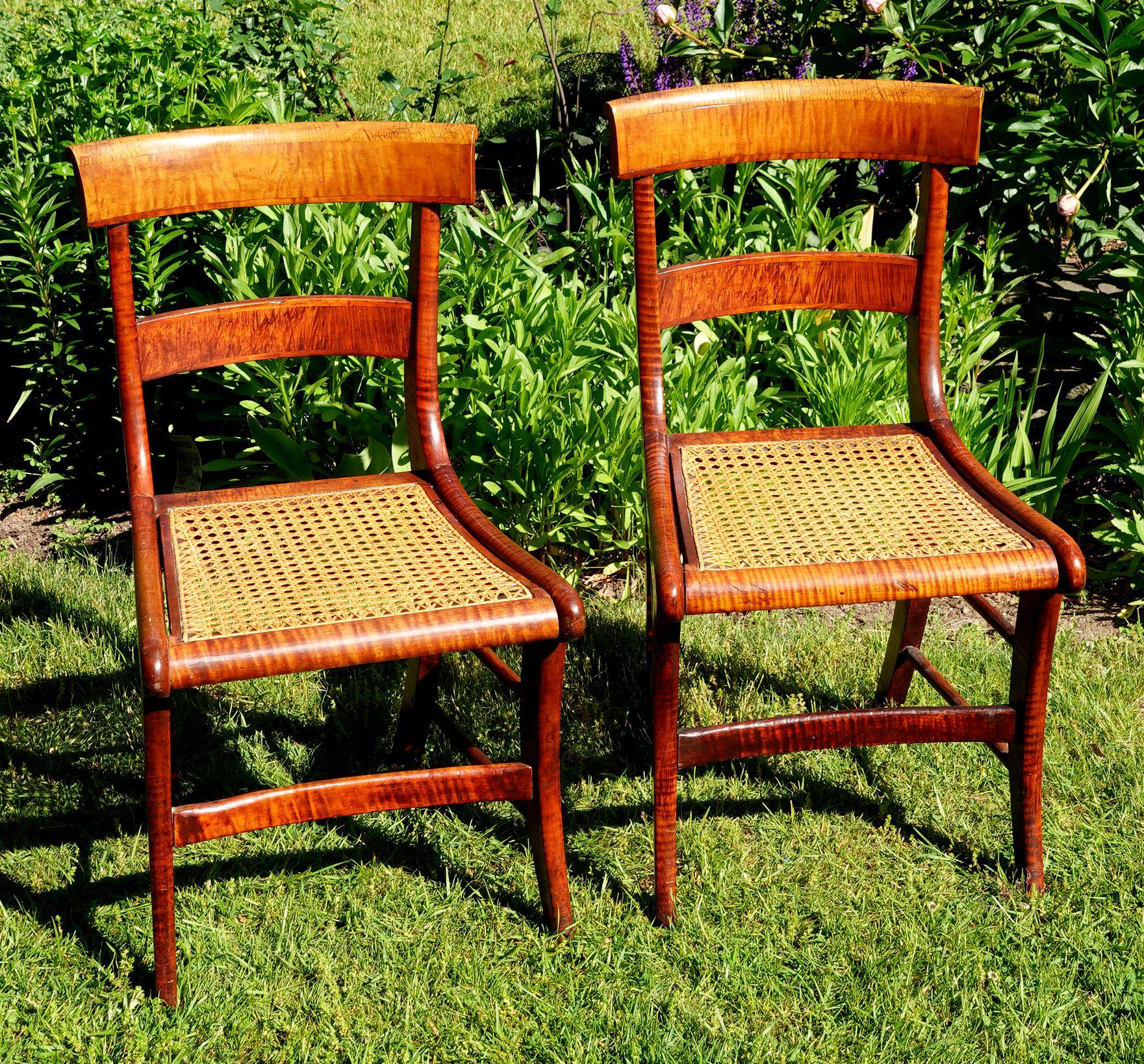 Early 19th Century Antique Pair of Federal Tiger Maple & Bird's Eye Cane Seat Dinning Charis with stylized scroll form rail over slat back, caned seats, and splay legs, c1830.

Measures- 33.5''H x 17.5''W x 20''D.

