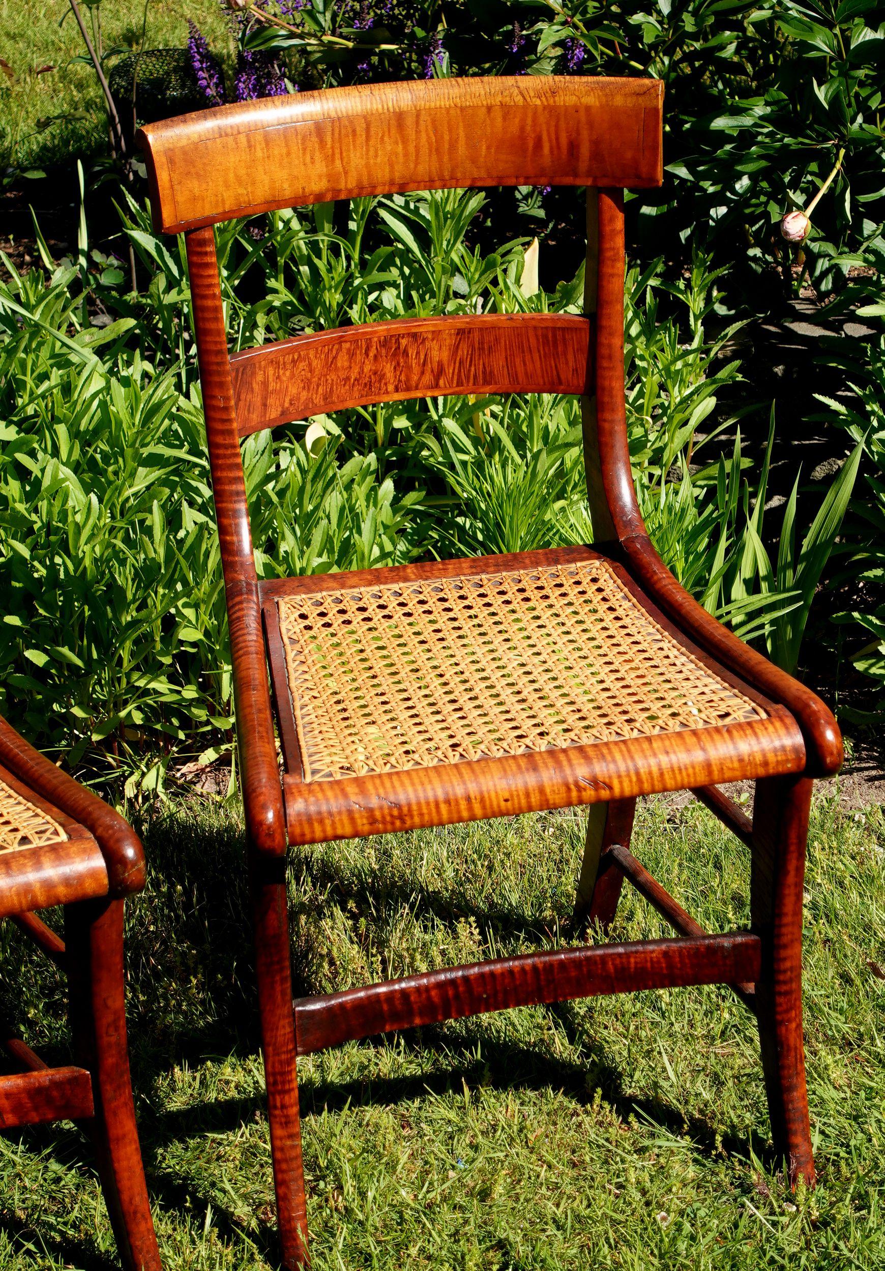 Fédéral Ancienne paire de chaises de salle à manger fédérales en érable tigré et rotin à œil d'oiseau #2 en vente