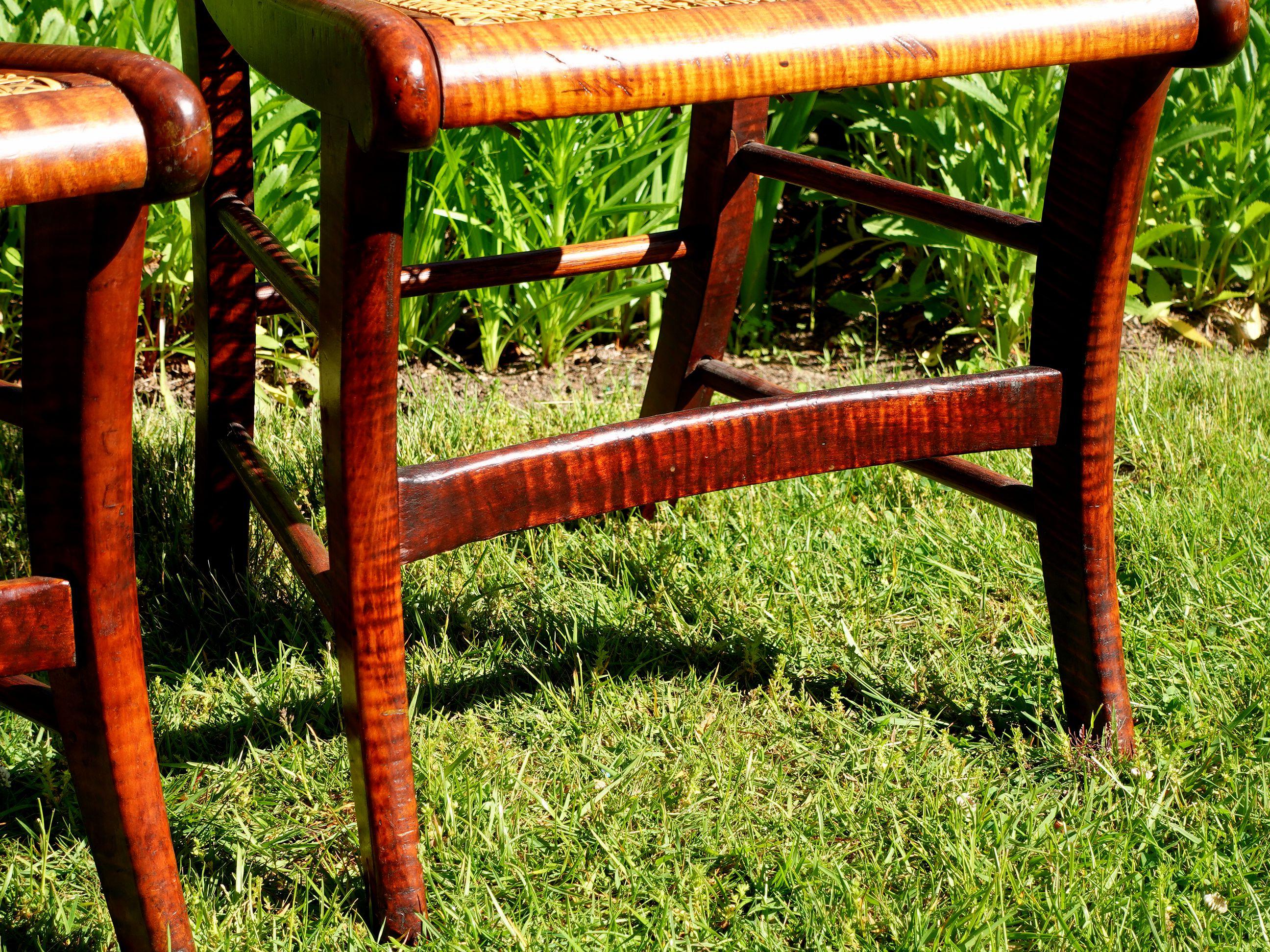 Wood Antique Pair of Federal Tiger Maple & Bird's Eye Cane Seat Dinning Charis #2 For Sale