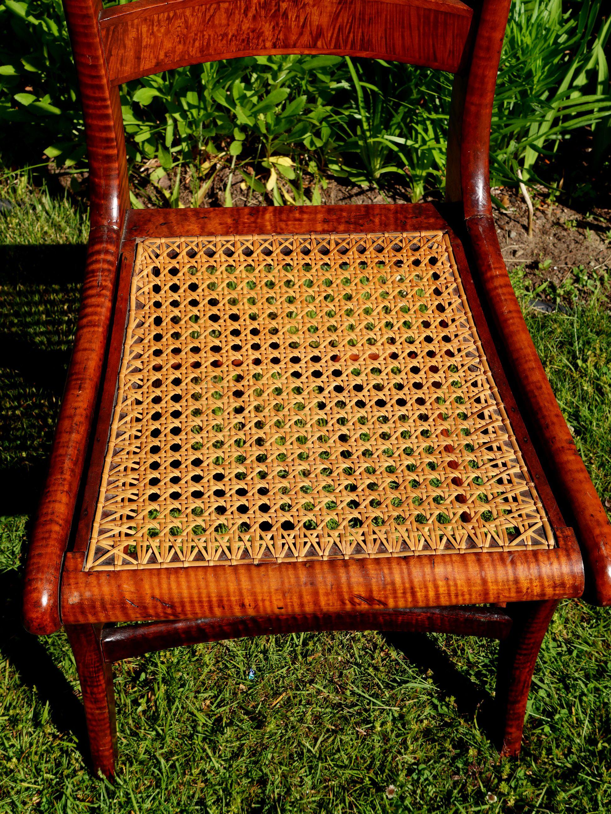 Ancienne paire de chaises de salle à manger fédérales en érable tigré et rotin à œil d'oiseau #2 en vente 1
