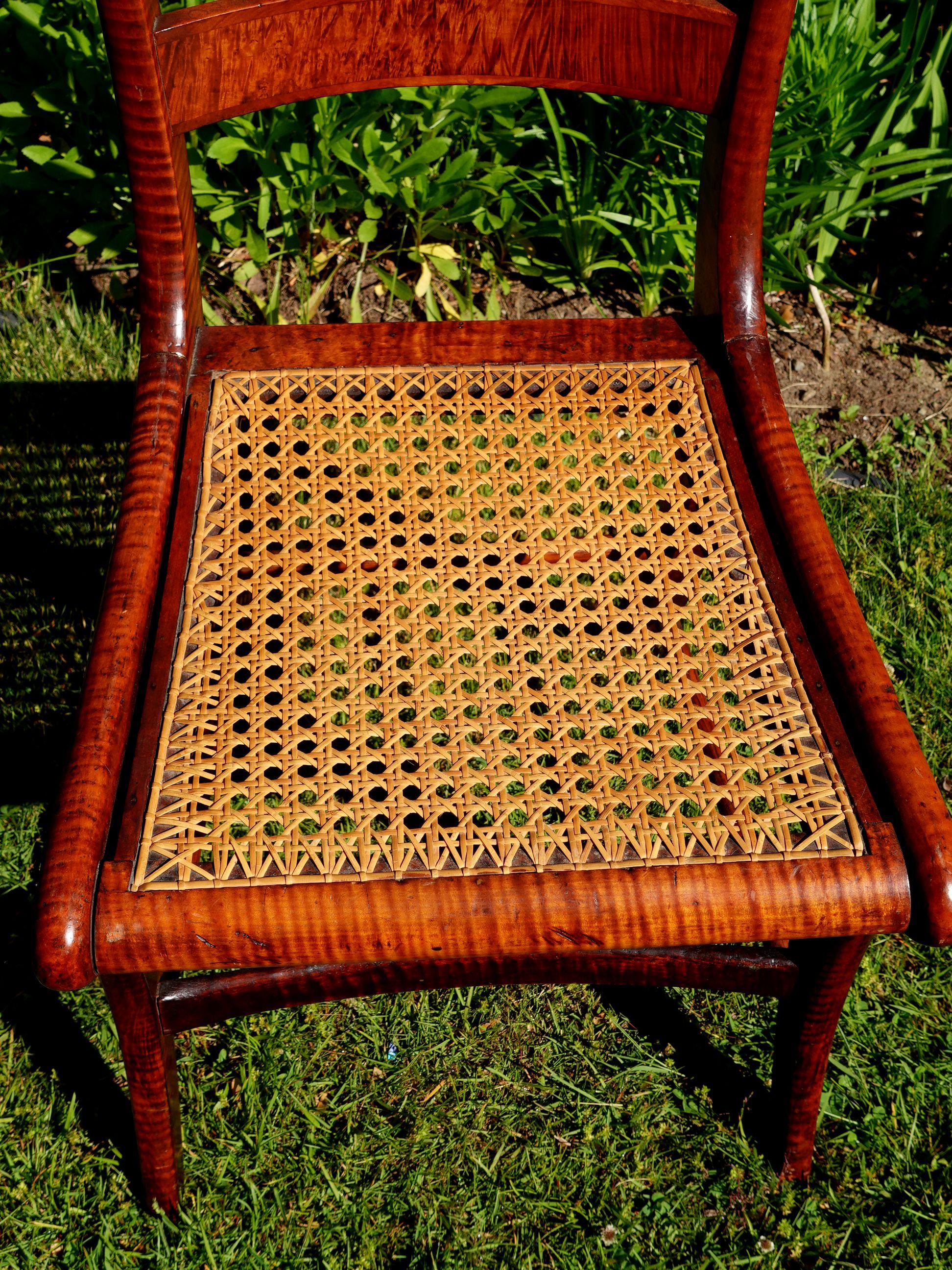 Antique Pair of Federal Tiger Maple & Bird's Eye Cane Seat Dinning Charis #2 For Sale 2