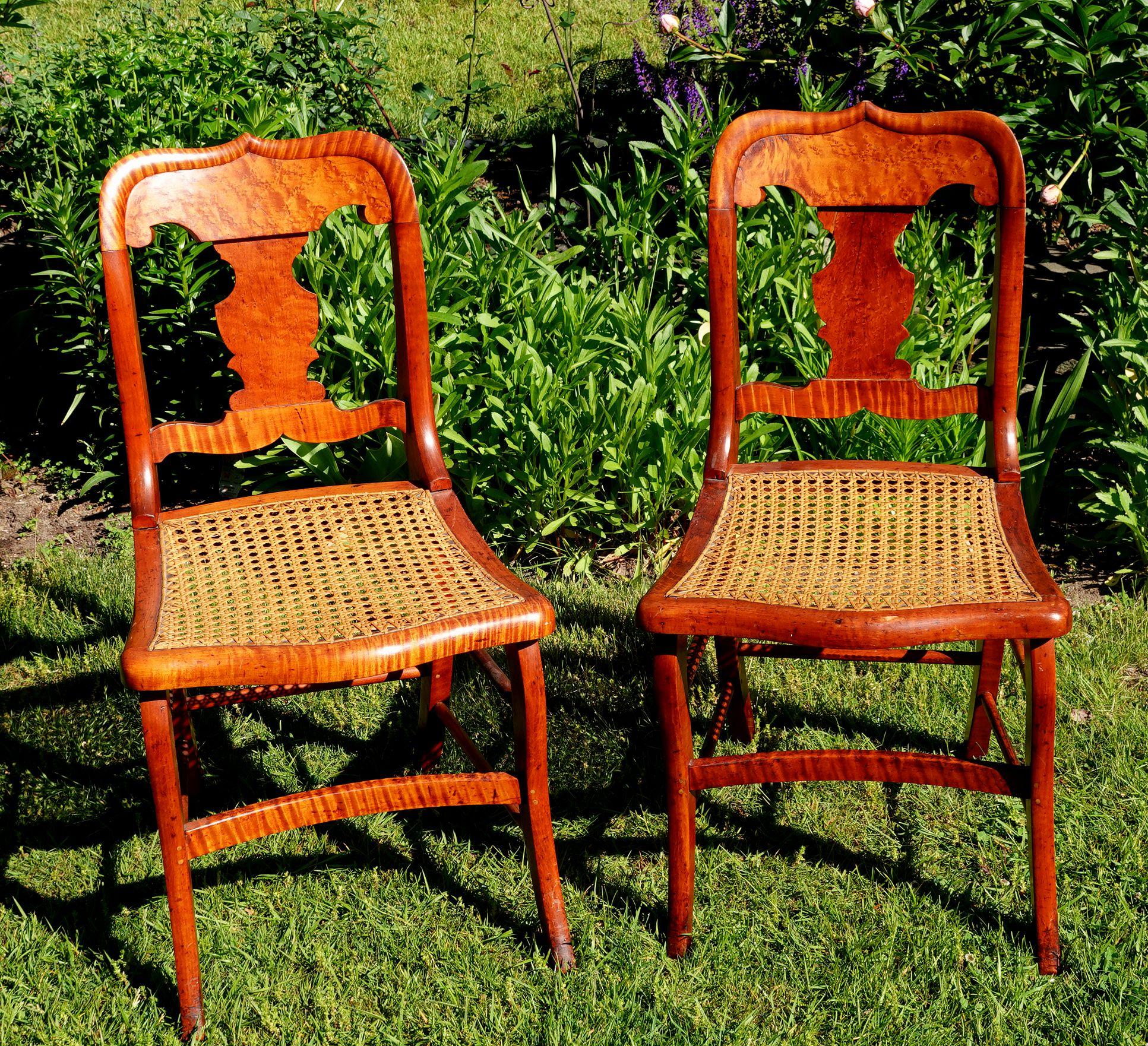 tiger cane furniture