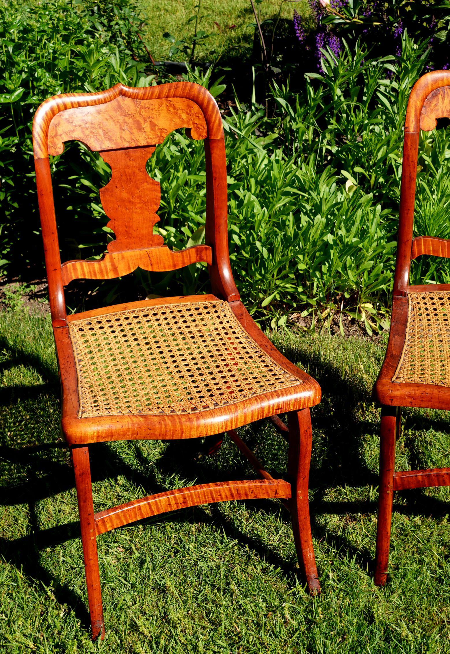 19th Century Antique Pair of Federal Tiger Maple & Bird's Eye Cane Seat Dinning Charis For Sale