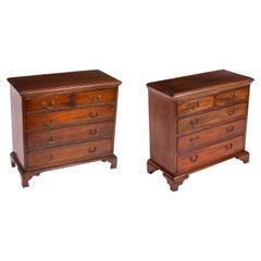 Antique Pair of Flame Mahogany Bedside Chests Cabinets Mid 20th Century