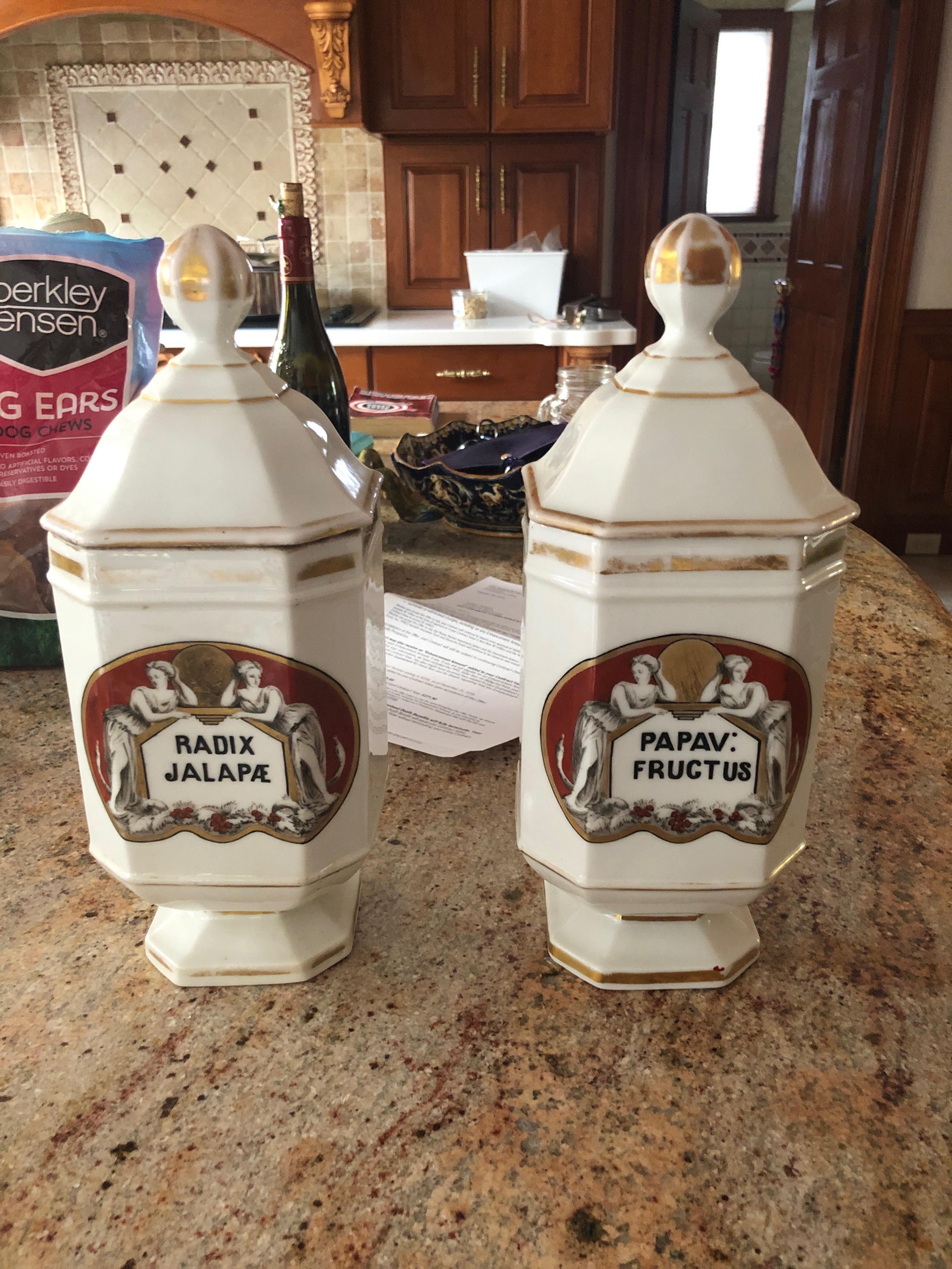 Antique Pair of French Apothecary Jars For Sale 1