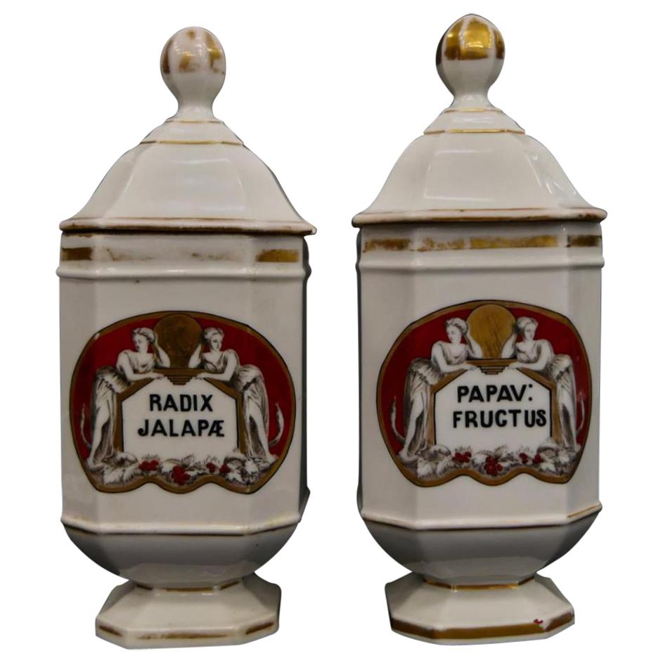 Antique Pair of French Apothecary Jars For Sale