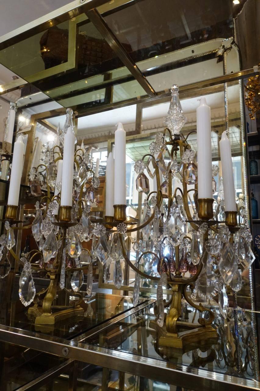 A pair of stunning French candelabra / candlesticks, from circa 1900. Beautiful pale violet and clear prisms drops hang from gilt cast bronze. Each candelabra holds four candles and the light cast from them is stunning.

 
