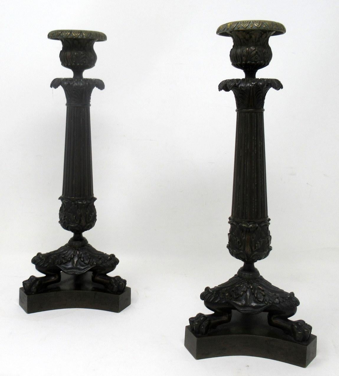 Stunning pair French Regency period heavy gauge Ormolu and patinated bronze single light candlesticks of outstanding quality and of nice tall proportions, each with tapering fluted central bronze columns, ending with three monopodia scroll supports