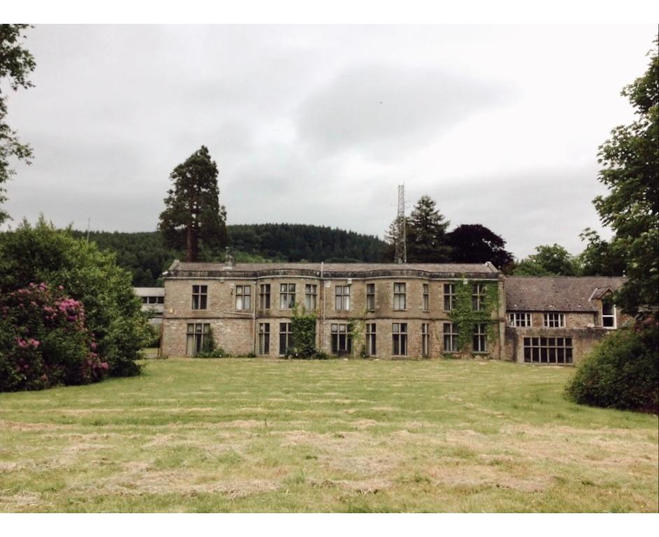 Coppia di applique francesi Louis Revival a 3 rami in ormolu del XX secolo in vendita 6