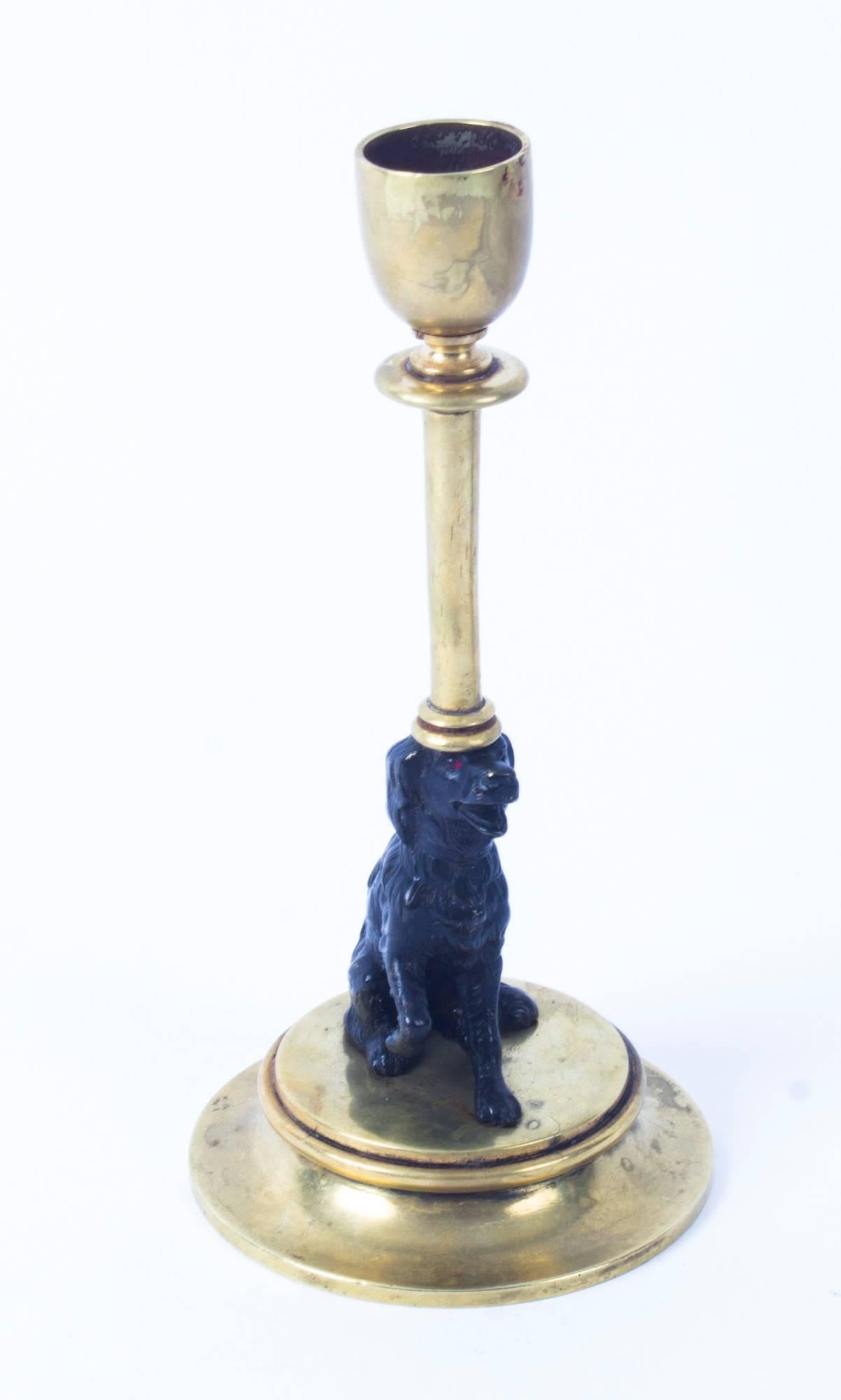 Antique Pair of French Novelty Bronze Spaniel Candlesticks, 19th Century 1