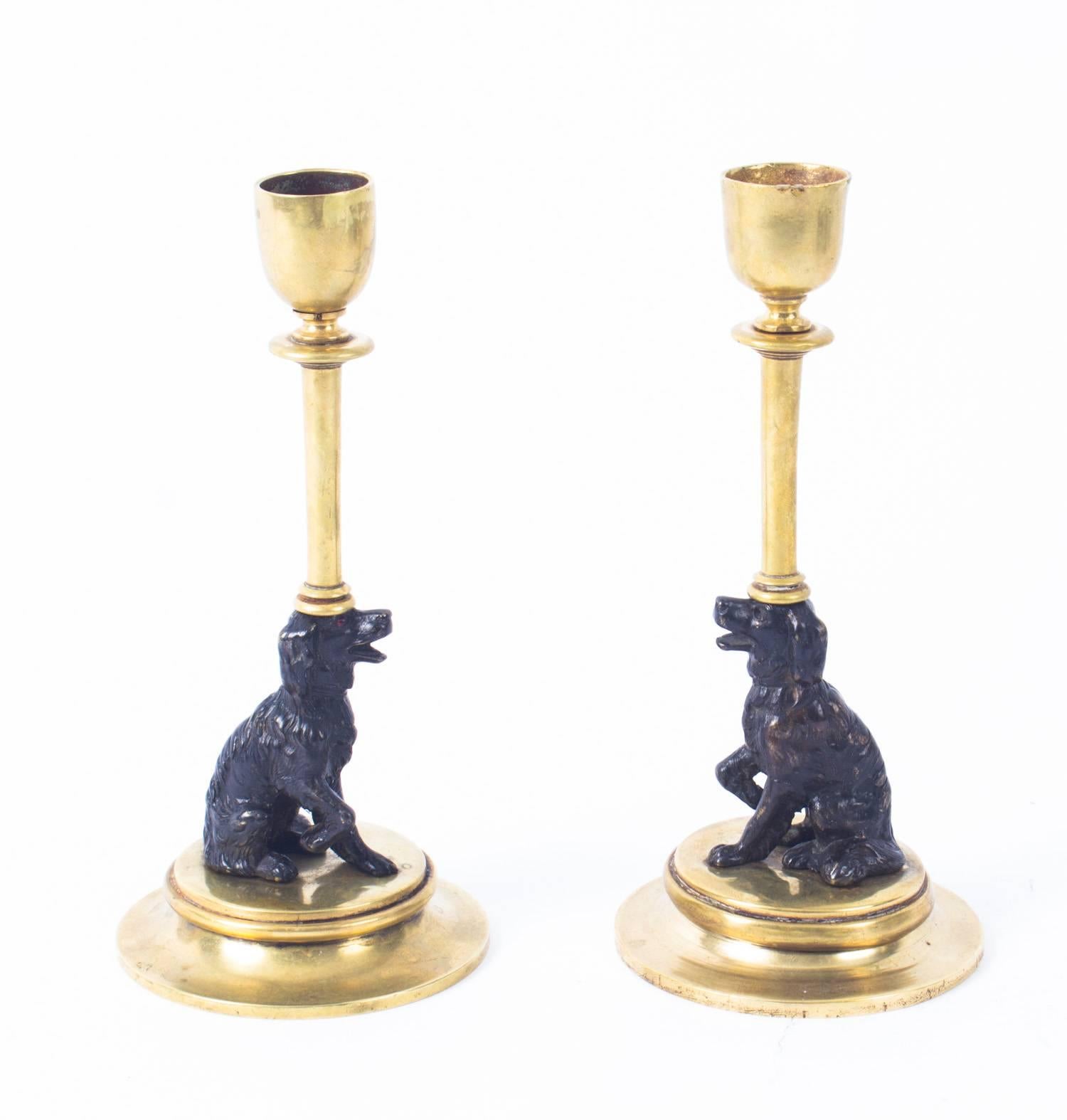 Antique Pair of French Novelty Bronze Spaniel Candlesticks, 19th Century 5