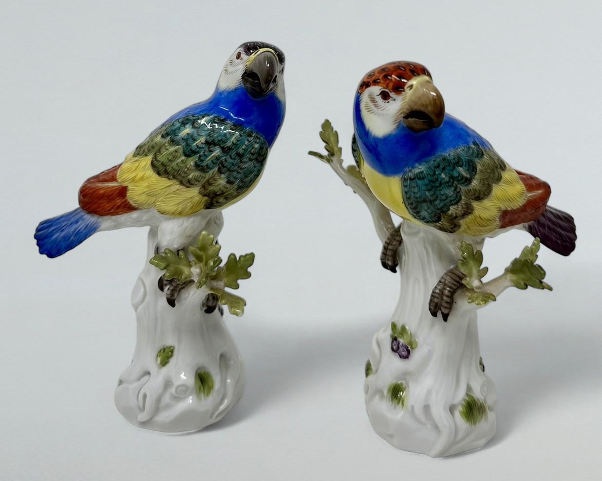 Sehr stilvolle Paar deutsche Meissen glasierte Porzellan Papageien von außergewöhnlicher Qualität, letzten Viertel des neunzehnten Jahrhunderts. 

Sie sind naturgetreu modelliert und sitzen auf Baumstümpfen mit sprießendem Blattwerk. Dekoriert in