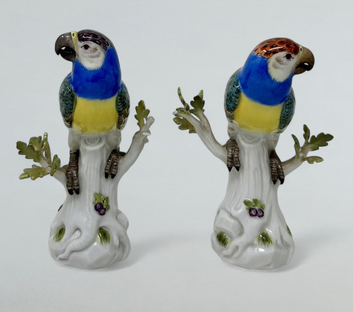 Antikes Paar deutsche Meissener kontinentale Papageien, Vögel, grün, vergoldet, 19. Jahrhundert (Deutsch) im Angebot
