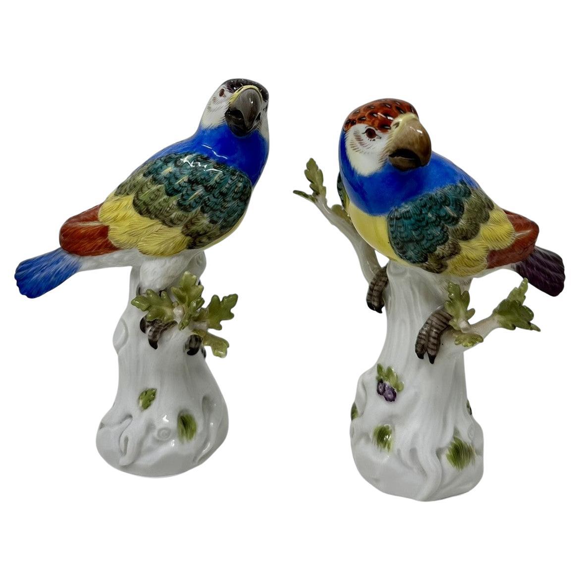 Antique Pair of German Meissen Continental Parrots Birds Green Gilt 19th Century