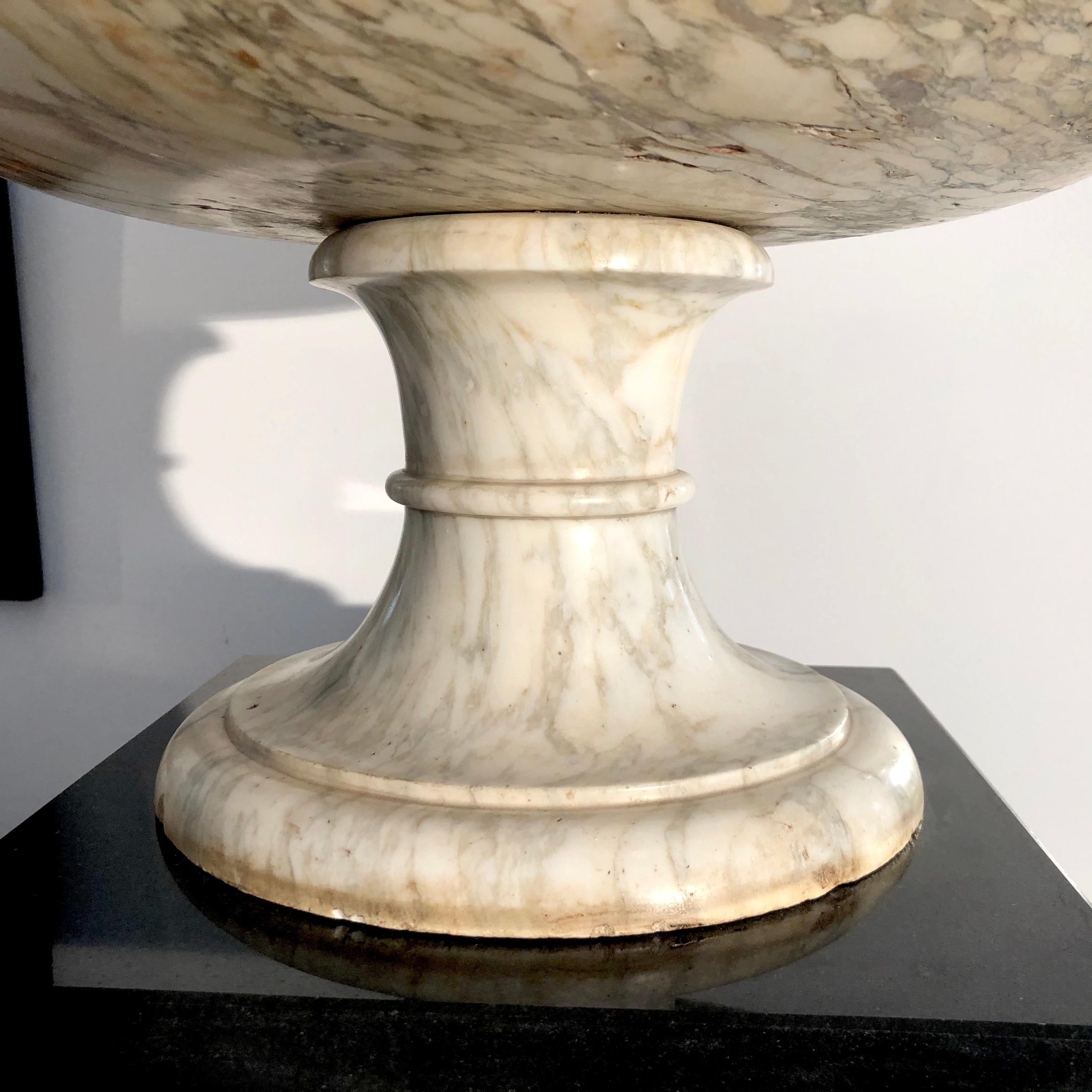 This elegant pair of large Grand Tour Tazze is made out of Rosa Valtoce marble. This kind of marble was also used inside the Duomo of Milan.