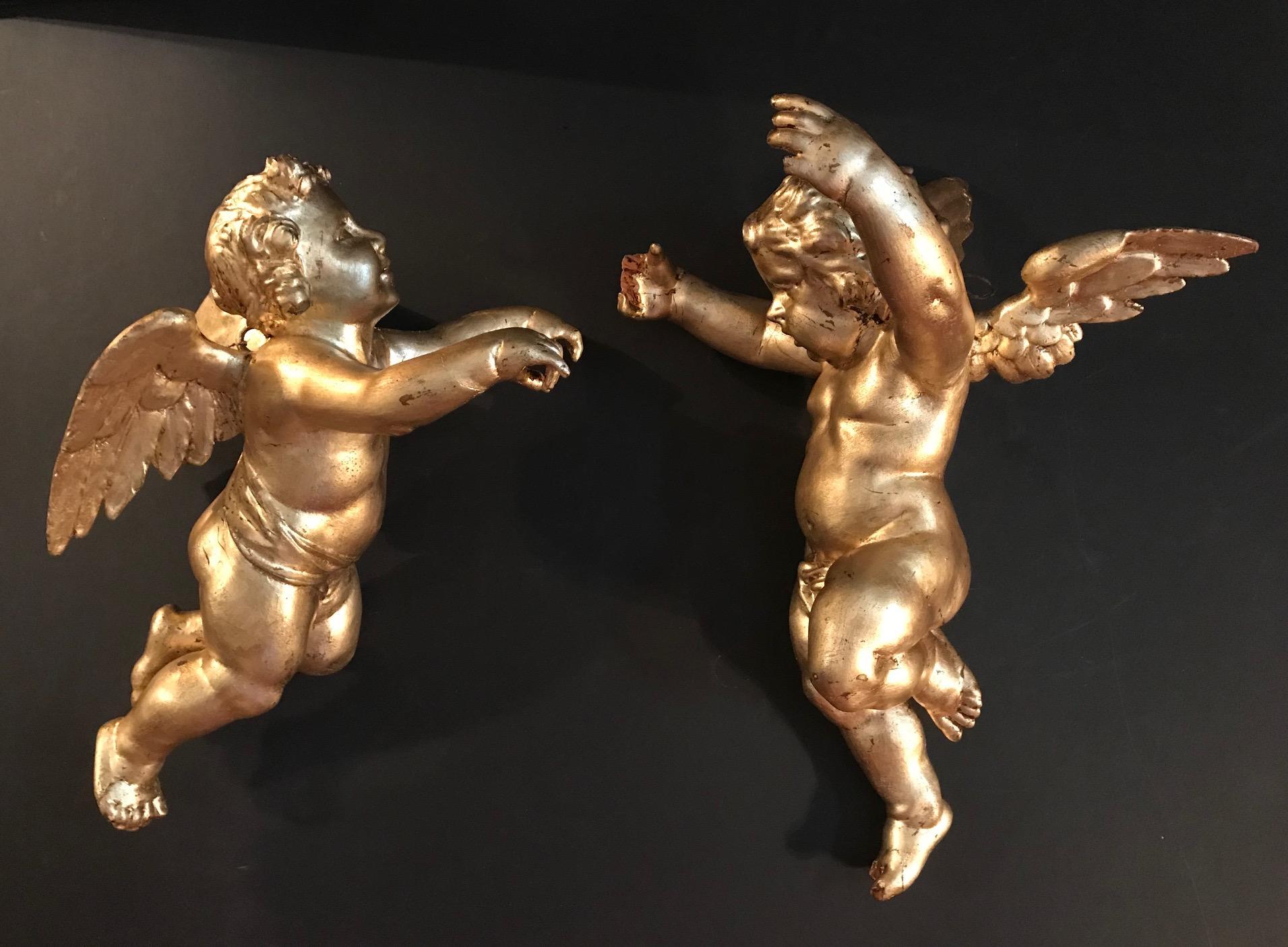 This magnificent pair of  Italian hand carved and gold leafed putti date from the late 18th- early 19th century.  The carving is masterfully done with perfect anatomical proportions. These great gilded cherubs can be hung on a wall or suspended from