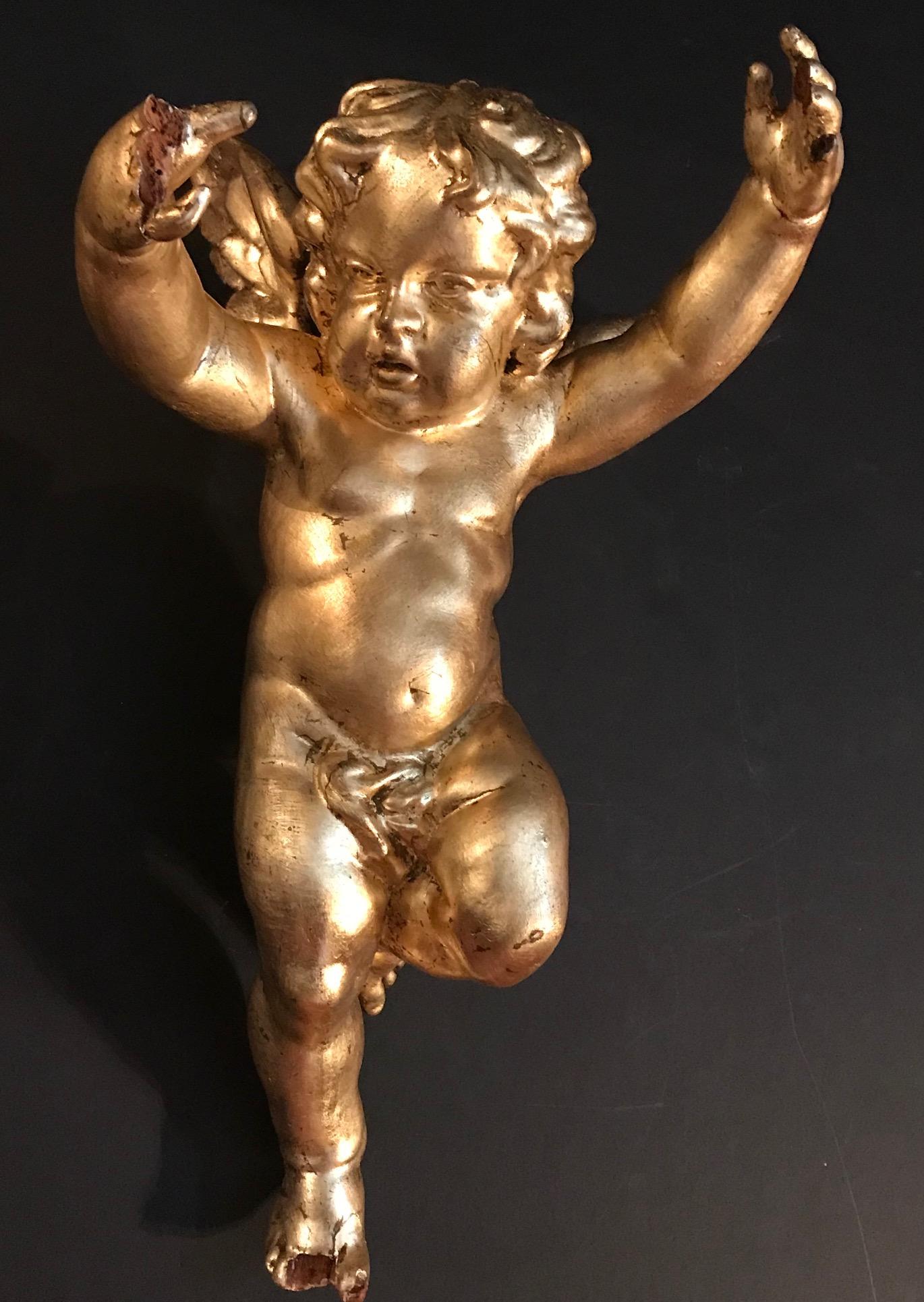 cherub putti