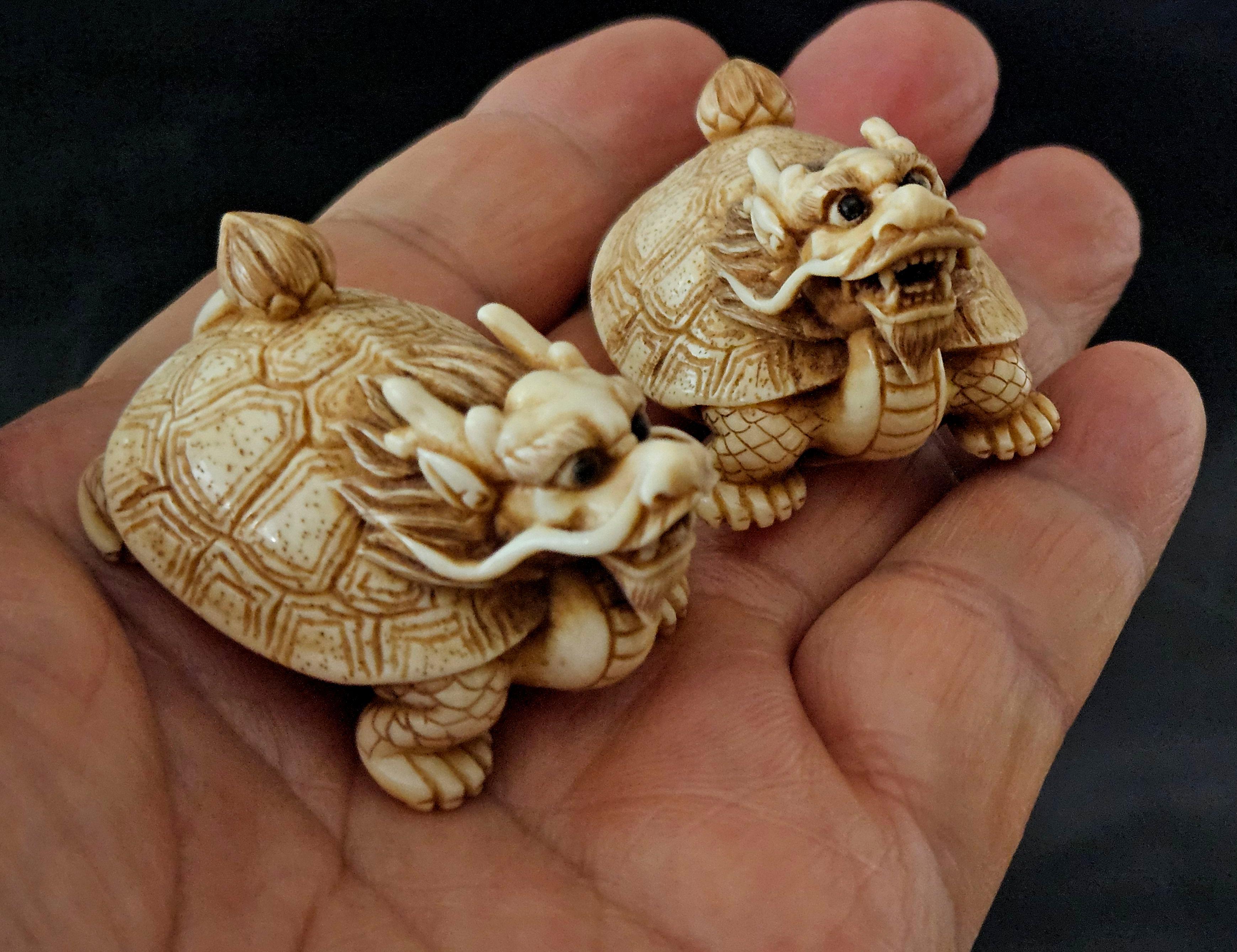 Antikes Paar japanischer geschnitzter Netsukes „Dragon-Schildkrötenkäfer“, Meiji-Periode 5