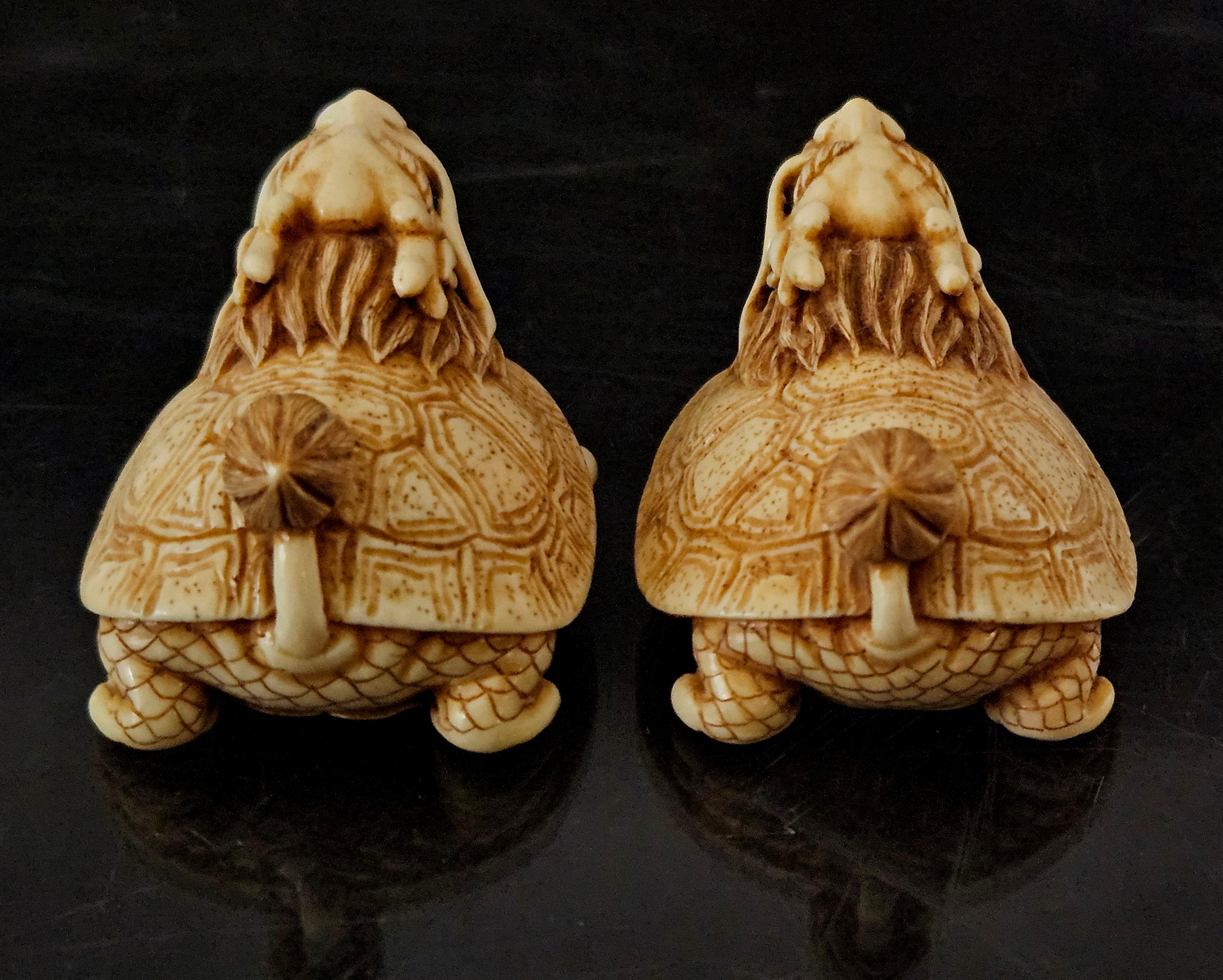 Antikes Paar japanischer geschnitzter Netsukes „Dragon-Schildkrötenkäfer“, Meiji-Periode (Japanisch)