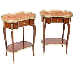 Antique Pair of Kidney Occassional Tables or Bedside Cabinets, 19th Century