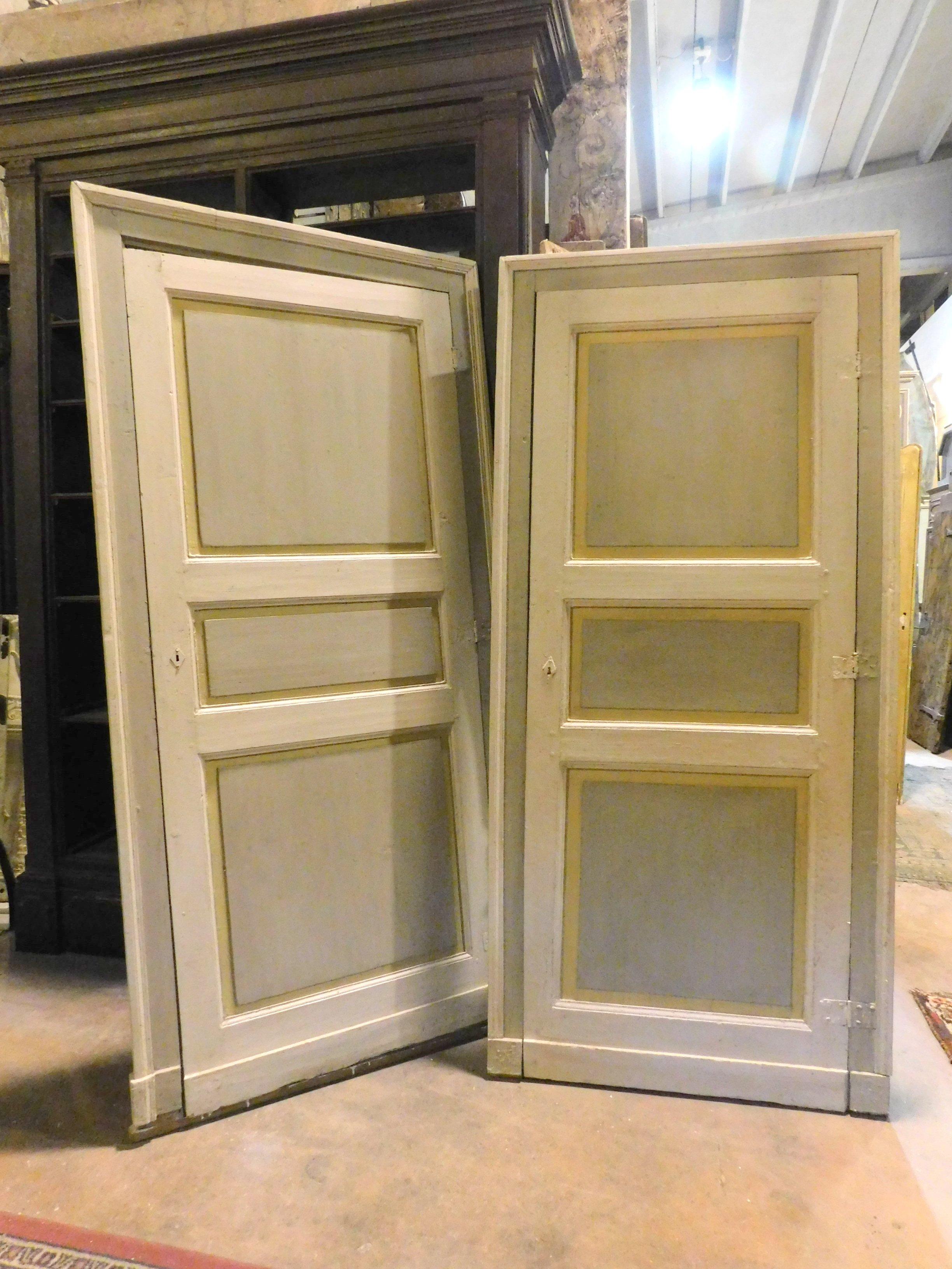 Italian Antique Pair of Lacquered Doors, Original Frame, 19th Century, Italy For Sale