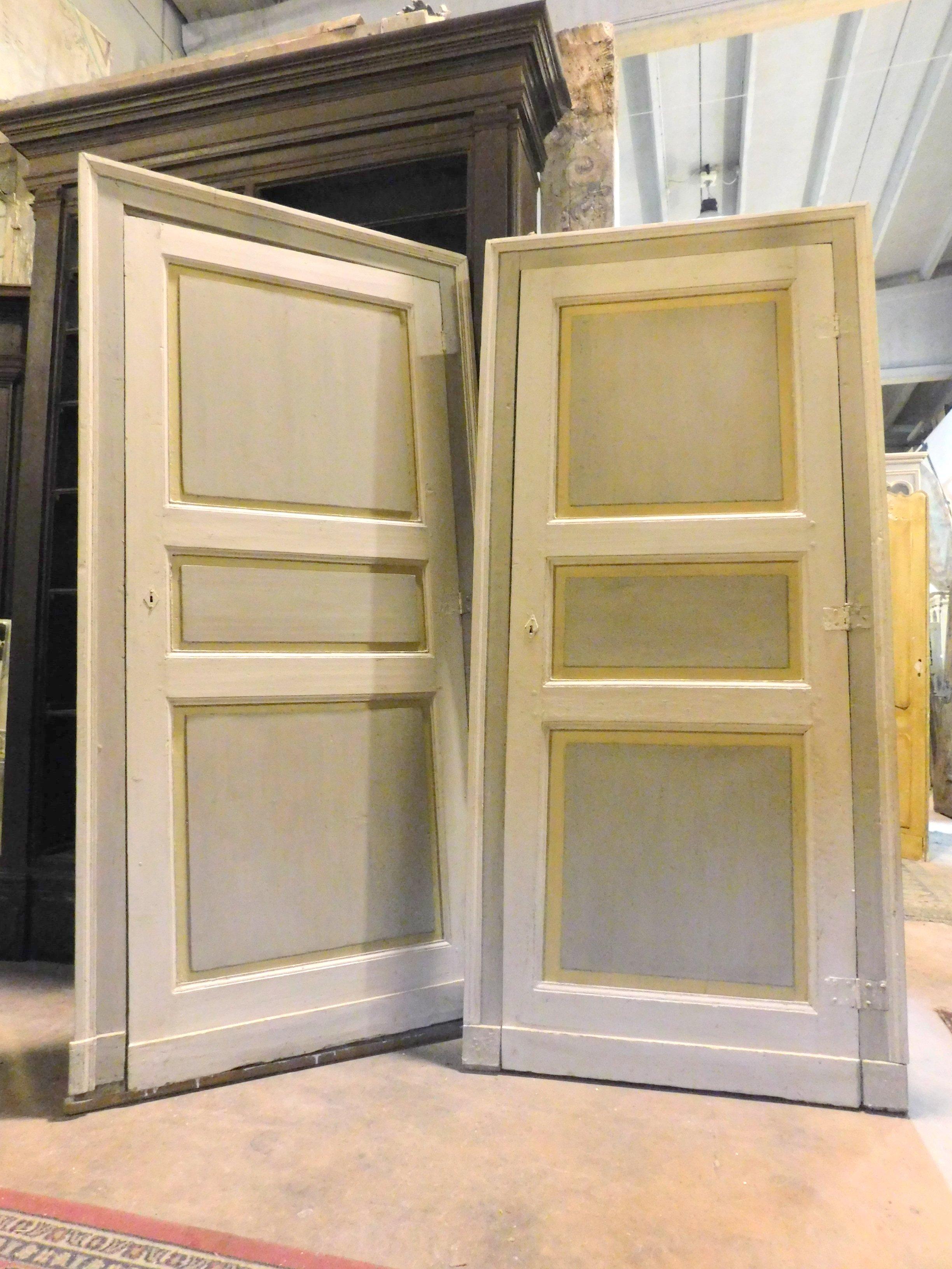 Wood Antique Pair of Lacquered Doors, Original Frame, 19th Century, Italy For Sale