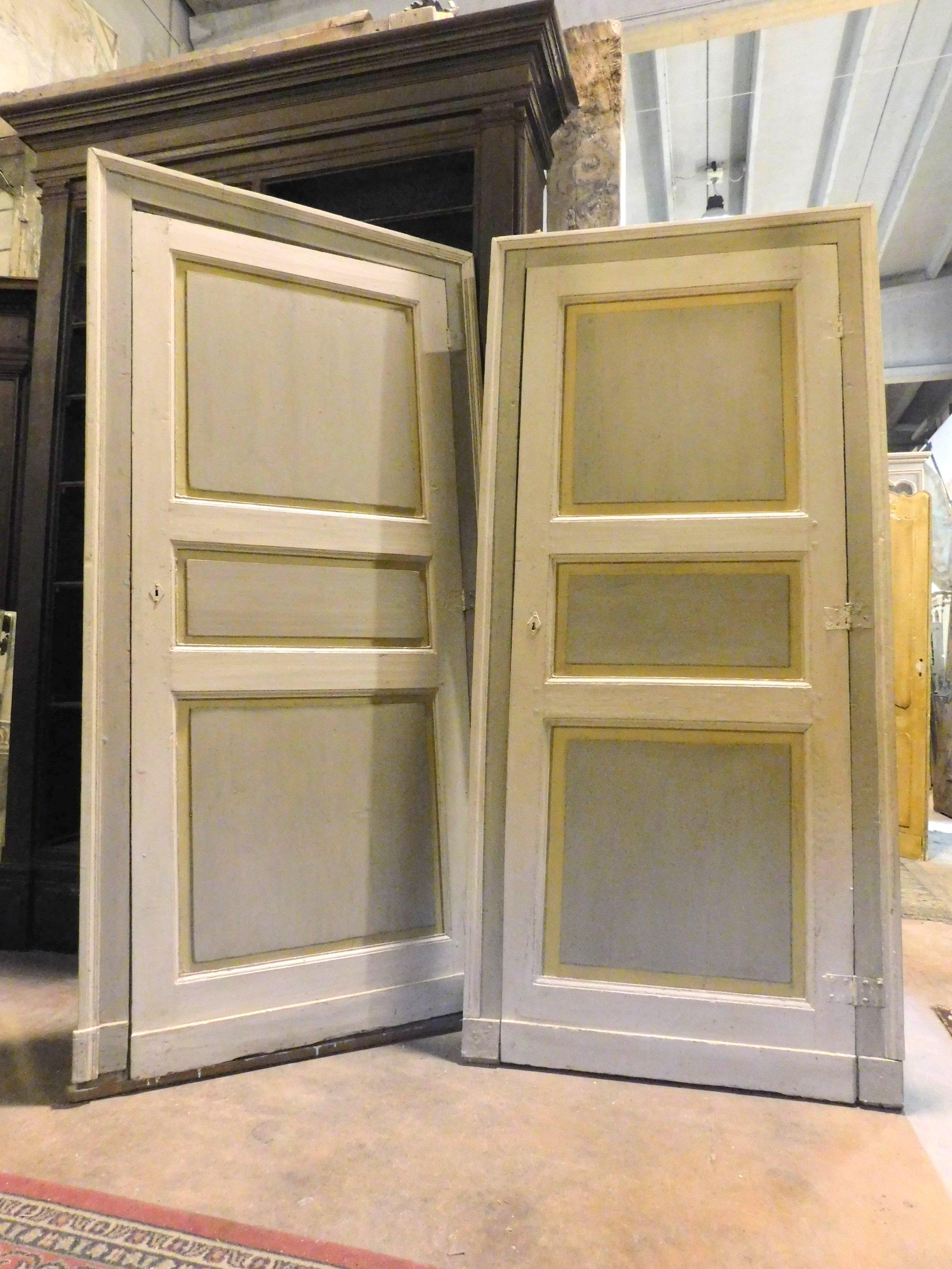 Antique Pair of Lacquered Doors, Original Frame, 19th Century, Italy For Sale 1