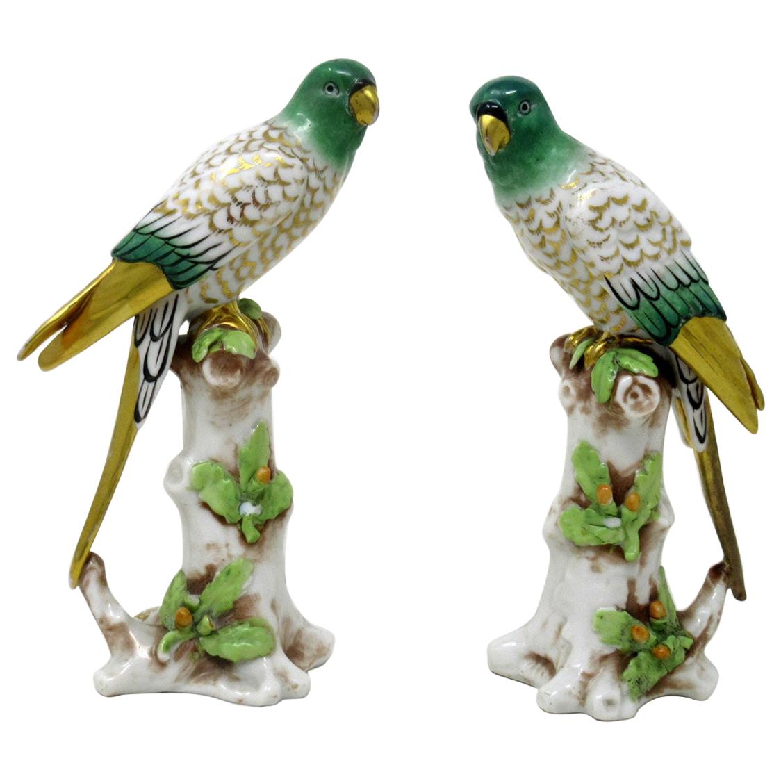 Antique Pair of Meissen Style Continental Parrots Birds Green Gilt, 19th Century