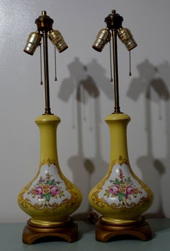 Antique Pair of Shaped Hand-Painted Reserved Floral Lamps, 1900s