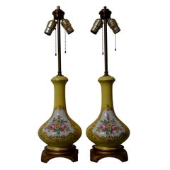 Antique Pair of Shaped Hand-Painted Reserved Floral Lamps, 1900s
