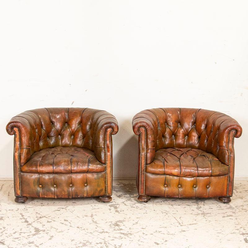 There is an interesting variation of color in the leather that add to the authentic vintage look and feel of these two small scale club chairs. The barrel shape gives them their name, marked by the Classic Chesterfield style with tufted backs and
