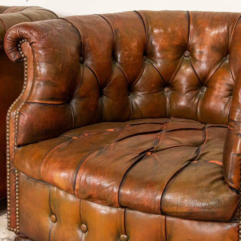 Antique Pair of Small Scale Leather Chesterfield Barrel Chairs, England In Good Condition In Round Top, TX