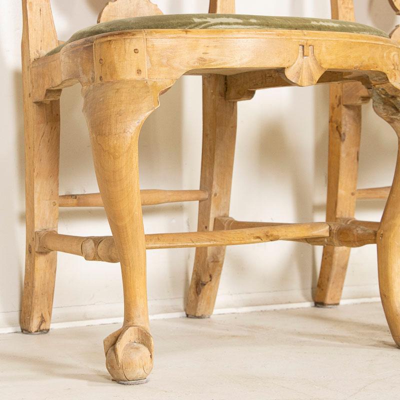 Antique Pair of Swedish Rococo Birch Side Chairs with Ball and Claw Feet, circa 5