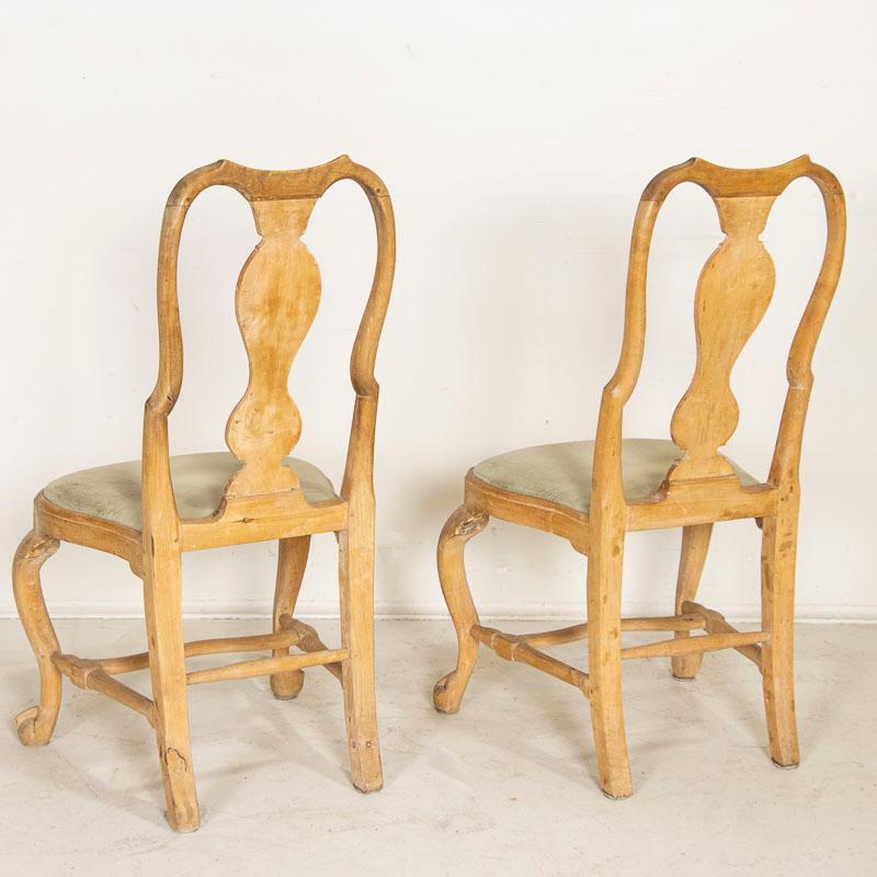 18th Century Antique Pair of Swedish Rococo Birch Side Chairs with Ball and Claw Feet, circa