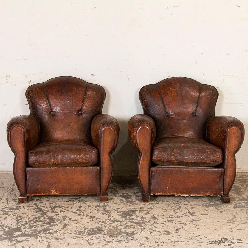 This pair of club chairs have an authentic vintage look due to the age and extensive wear reflected in the leather, crackled and creased with generations of use. The rolled arms and piping detail along the back add to the attraction of this pair.