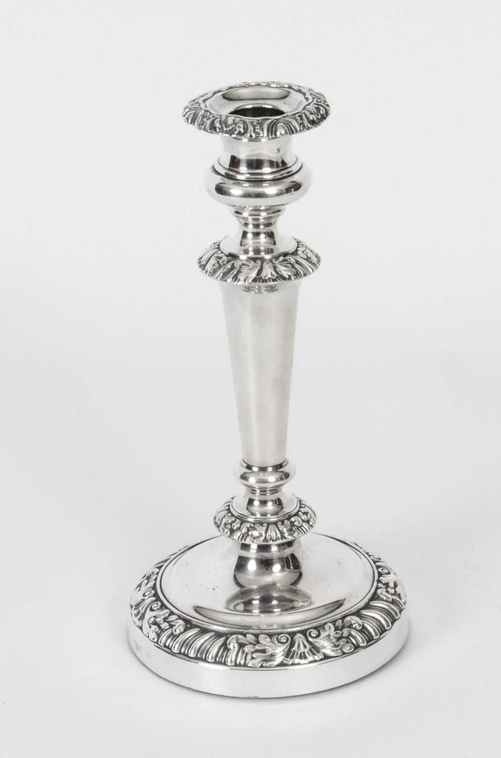 This is an elegant pair of antique English Georgian Old Sheffields silver plated candlesticks bearing the the makers mark D & G Holy, Sheffield, circa 1820 in date.
 
The pair features a richly decorated rocaille pattern with a tapering shaft and
