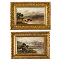 Used Pair Paintings Highland Cattle' William Langley 19th Century