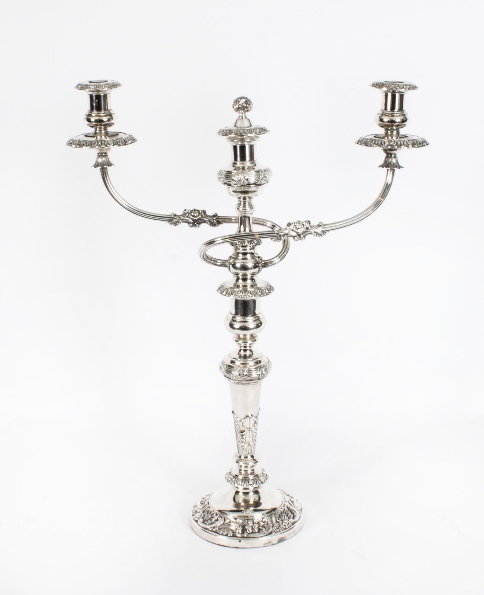This is a stunning pair of large antique Regency Period Old Sheffield George III silver plated two branch three light table candelabra, circa 1820 in date.
 
The candelabra featurettwisted branches with detachable sconces and have beautiful cast