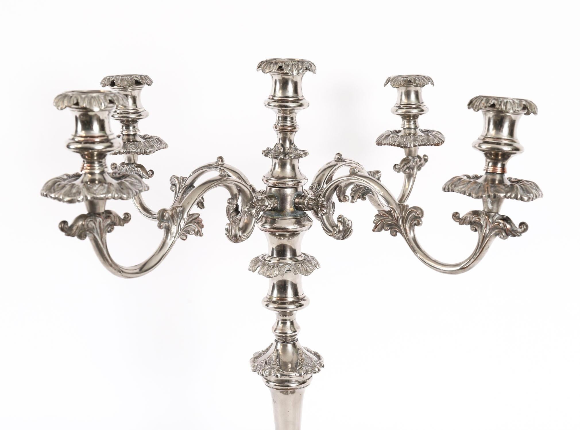 Coppia di candelabri antichi Regency Old Sheffield C1820 XIX secolo in vendita 7