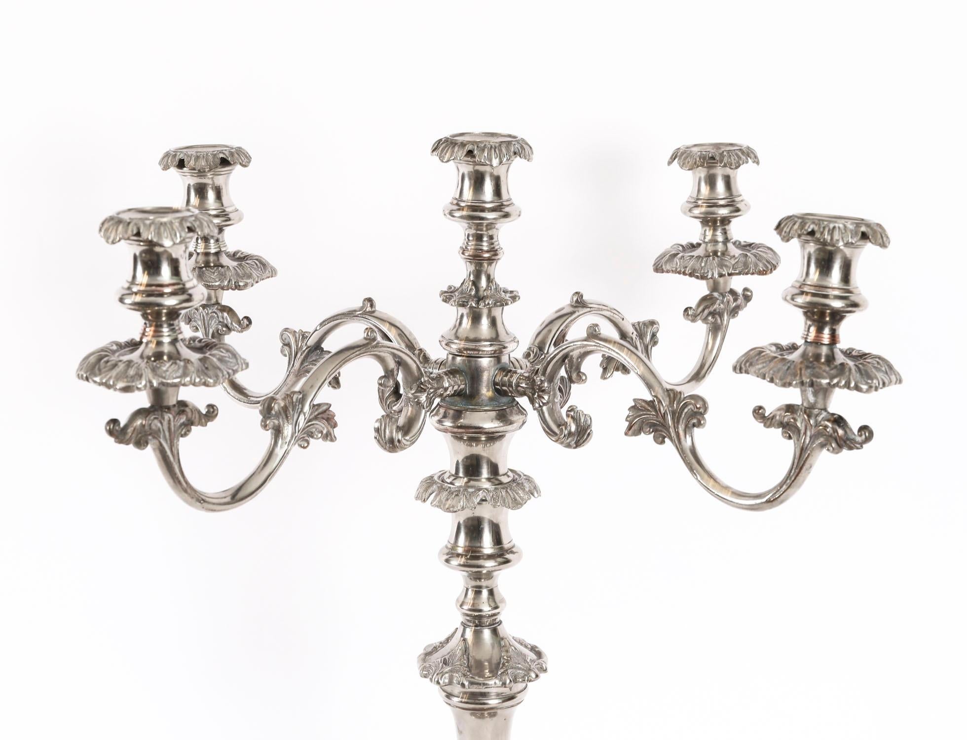 Coppia di candelabri antichi Regency Old Sheffield C1820 XIX secolo in vendita 9
