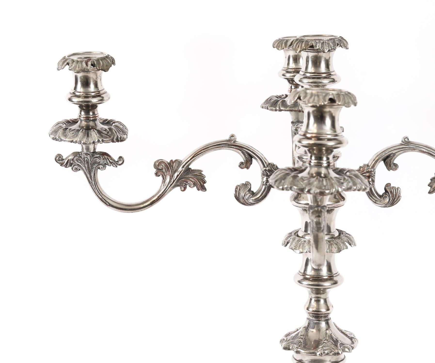 Coppia di candelabri antichi Regency Old Sheffield C1820 XIX secolo in vendita 10