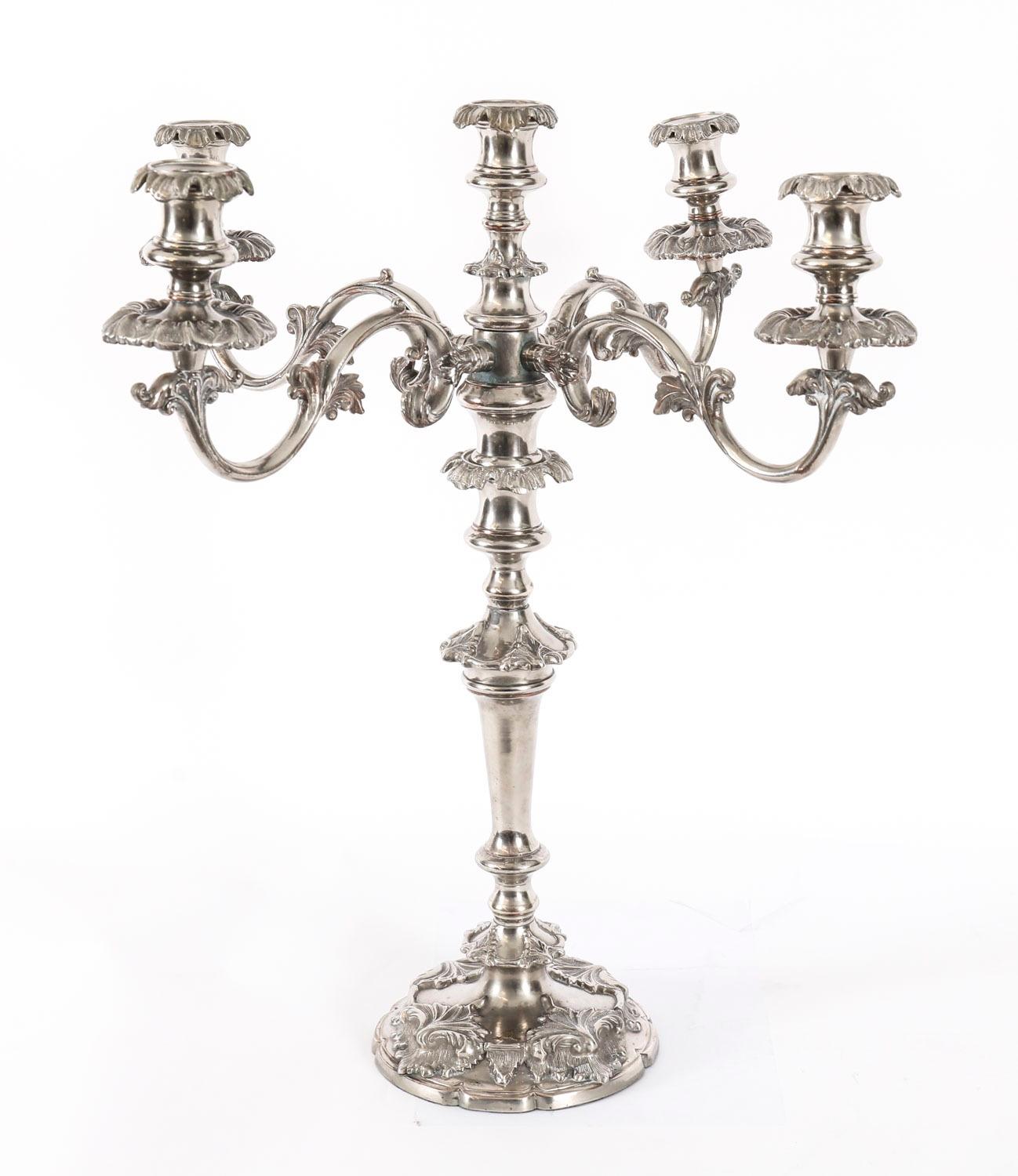Coppia di candelabri antichi Regency Old Sheffield C1820 XIX secolo in vendita 11