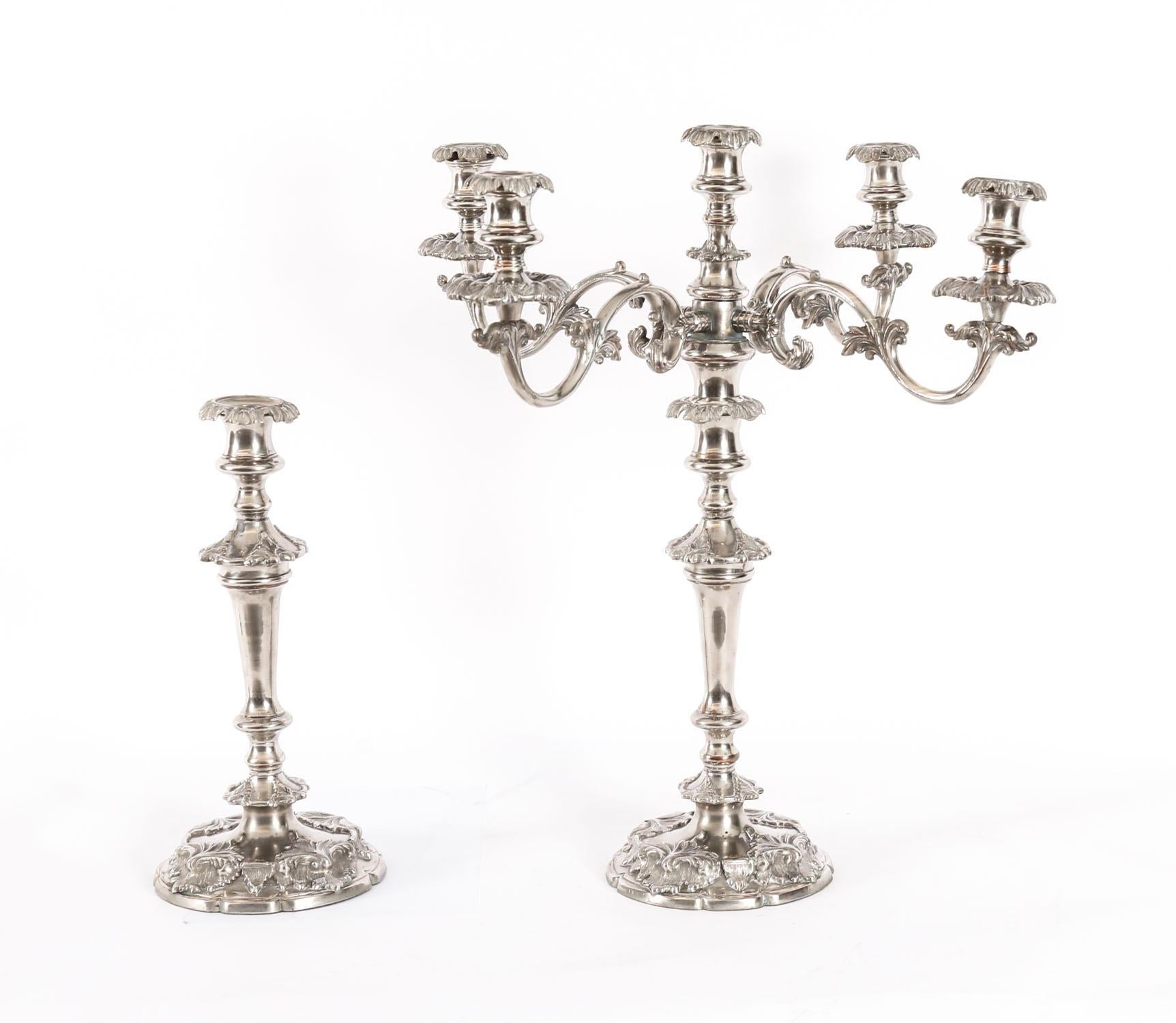 Si tratta di una sostanziosa e imponente coppia di grandi candelabri da tavolo antichi del periodo Regency Old Sheffield George III placcati in argento a quattro rami e cinque luci, datati circa 1820.

I candelabri sono dotati di applique staccabili