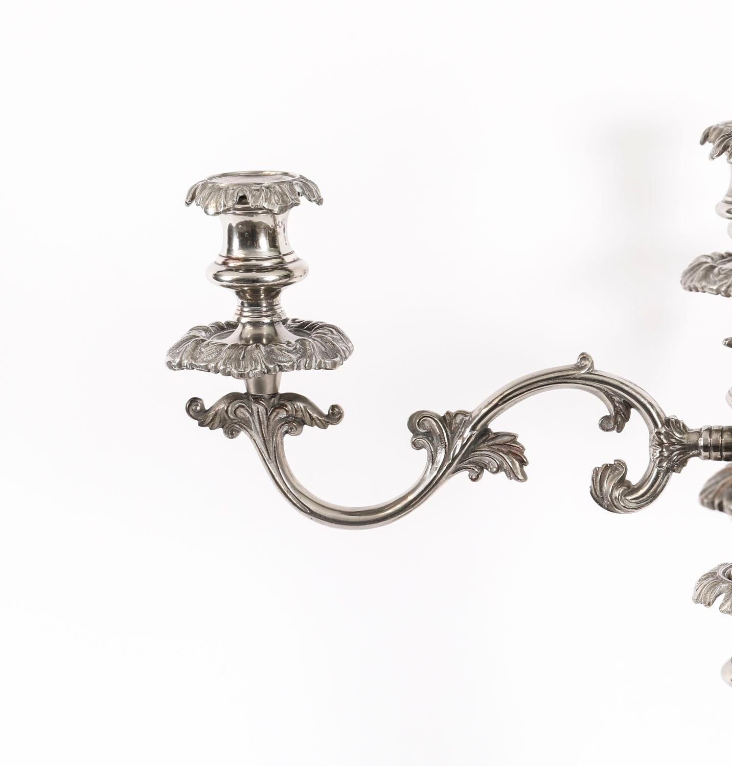 Coppia di candelabri antichi Regency Old Sheffield C1820 XIX secolo in vendita 3