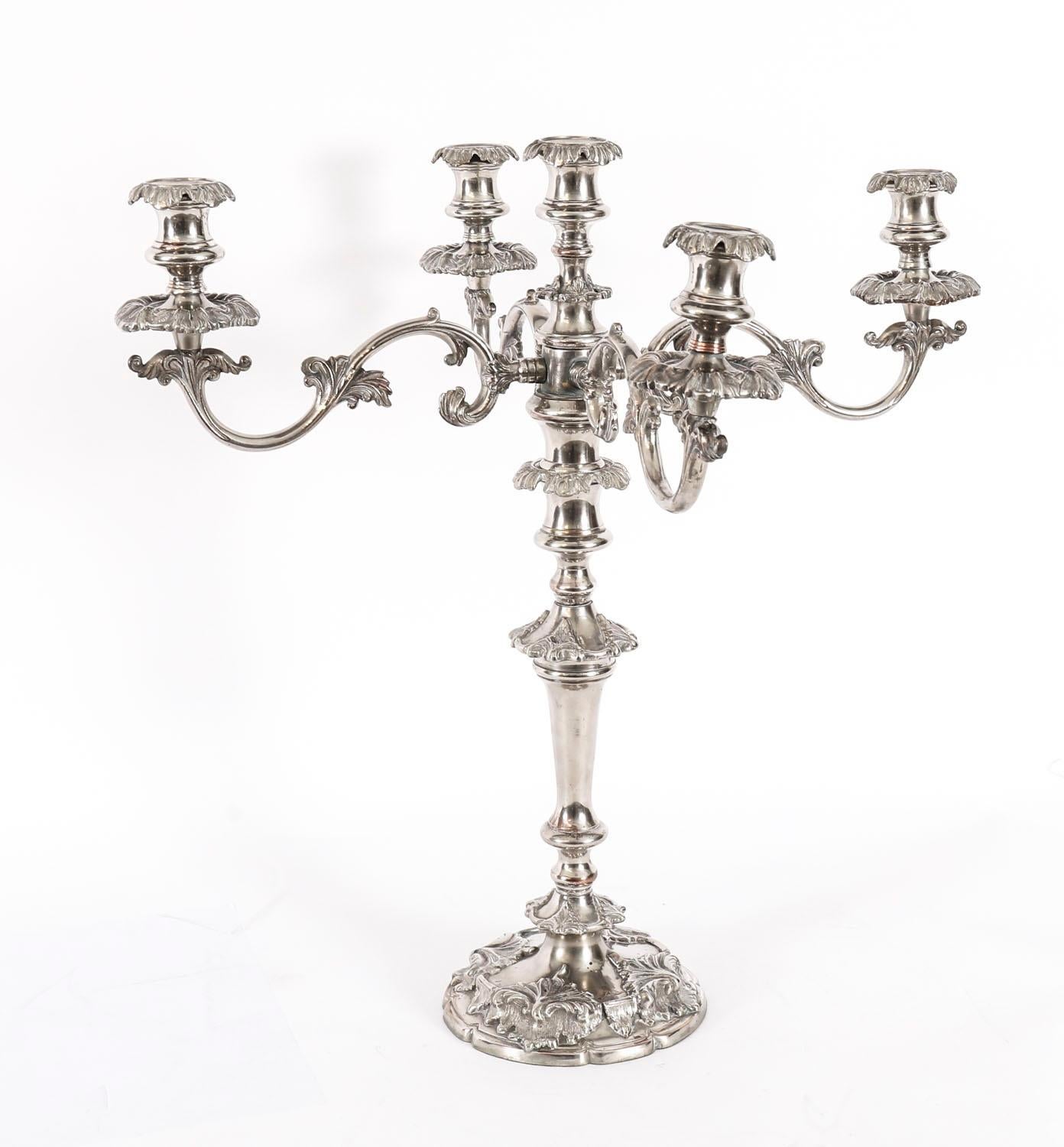 Coppia di candelabri antichi Regency Old Sheffield C1820 XIX secolo in vendita 4