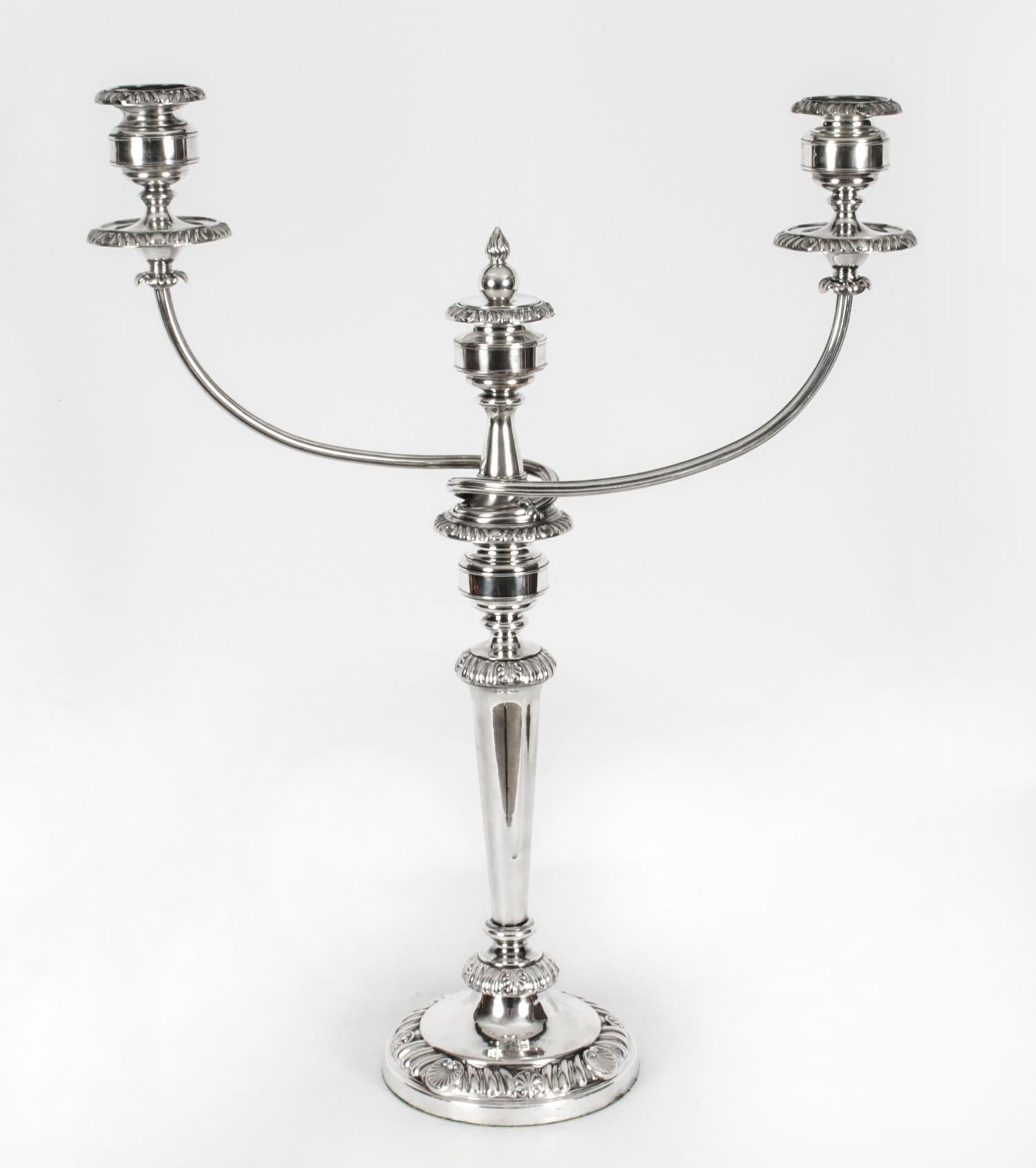 This is a stunning pair of large antique Regency Period Old Sheffield George III silver plated two branch three light table candelabra, circa 1820 in date.
 
The candelabra feature detachable sconces and have beautiful decoration, typical of the